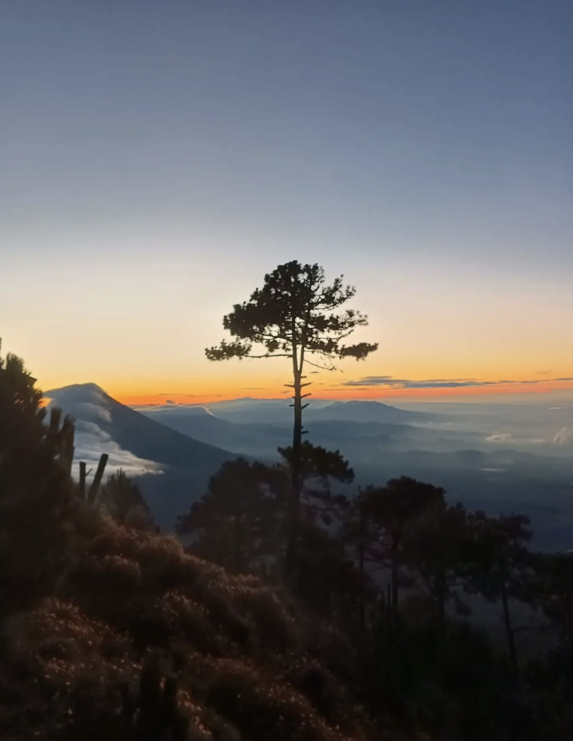 Terra Guatemala: Local Travel Agency Specializing in Tailor-Made Tours in Guatemala