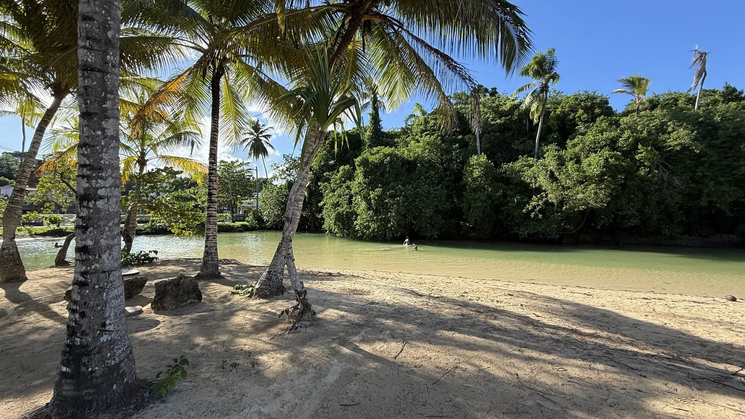 What is Las Terrenas Like? The DR’s Best Kept Secret Revealed