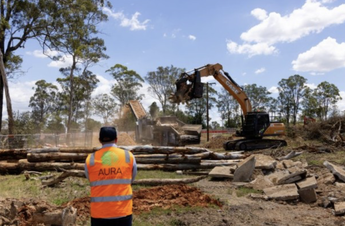 How Quality Tree Care Protects Your Property and Enhances Your Landscape