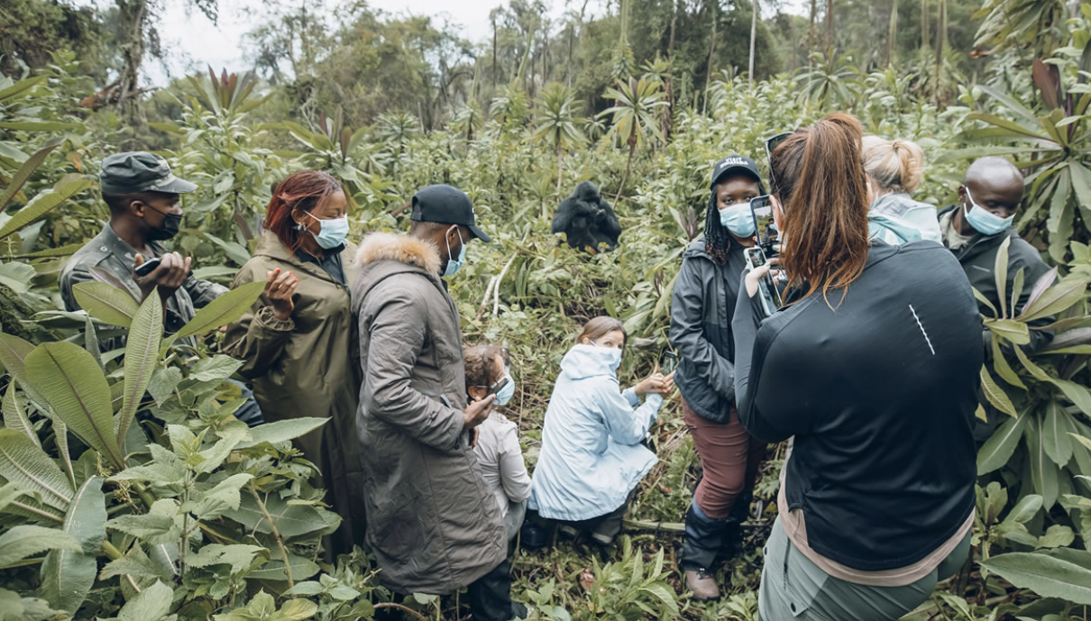 Safari in Akagera and Gorilla Trekking in Mgahinga, Rwanda: