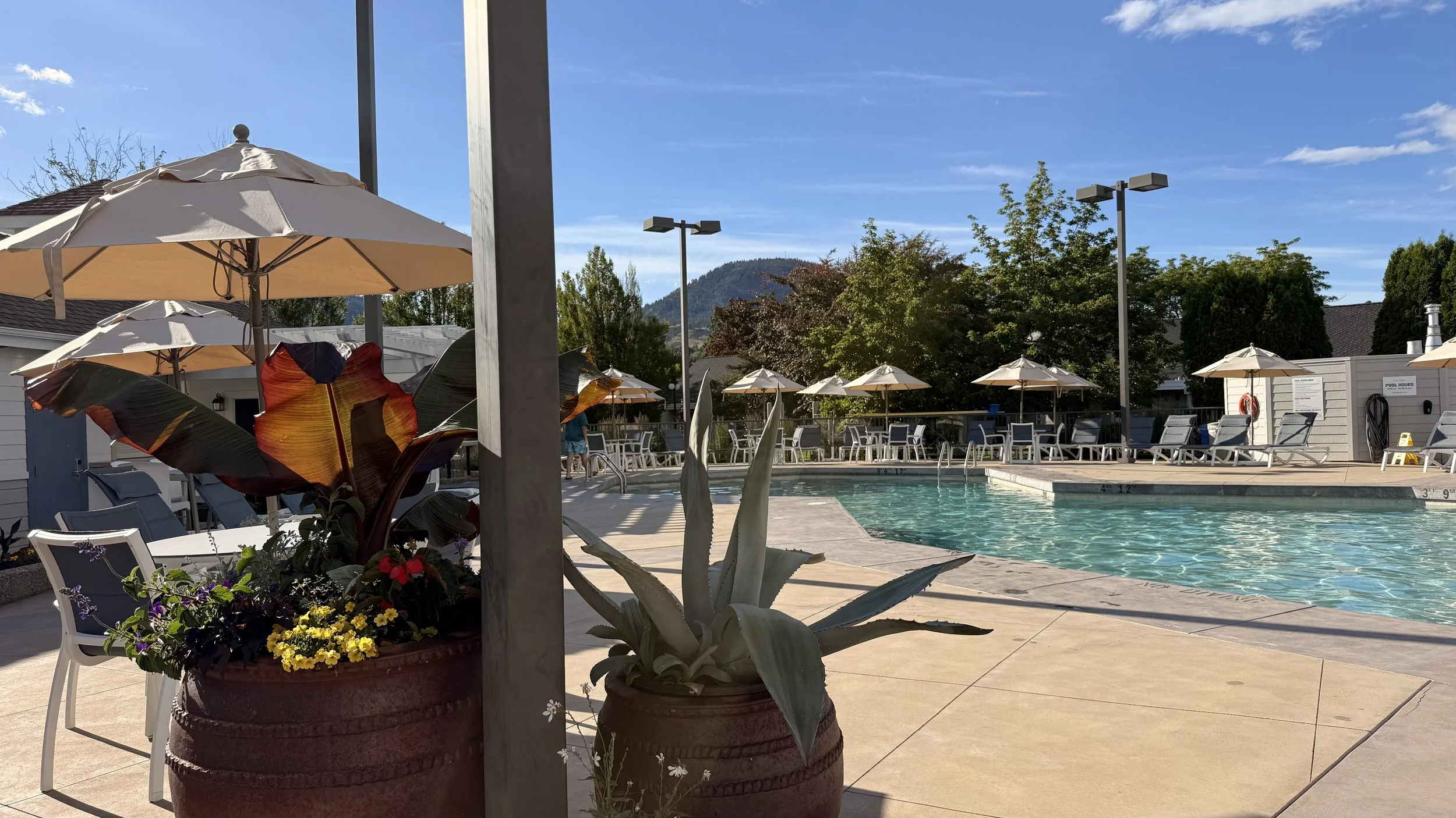 IMG_1193.jpeg
