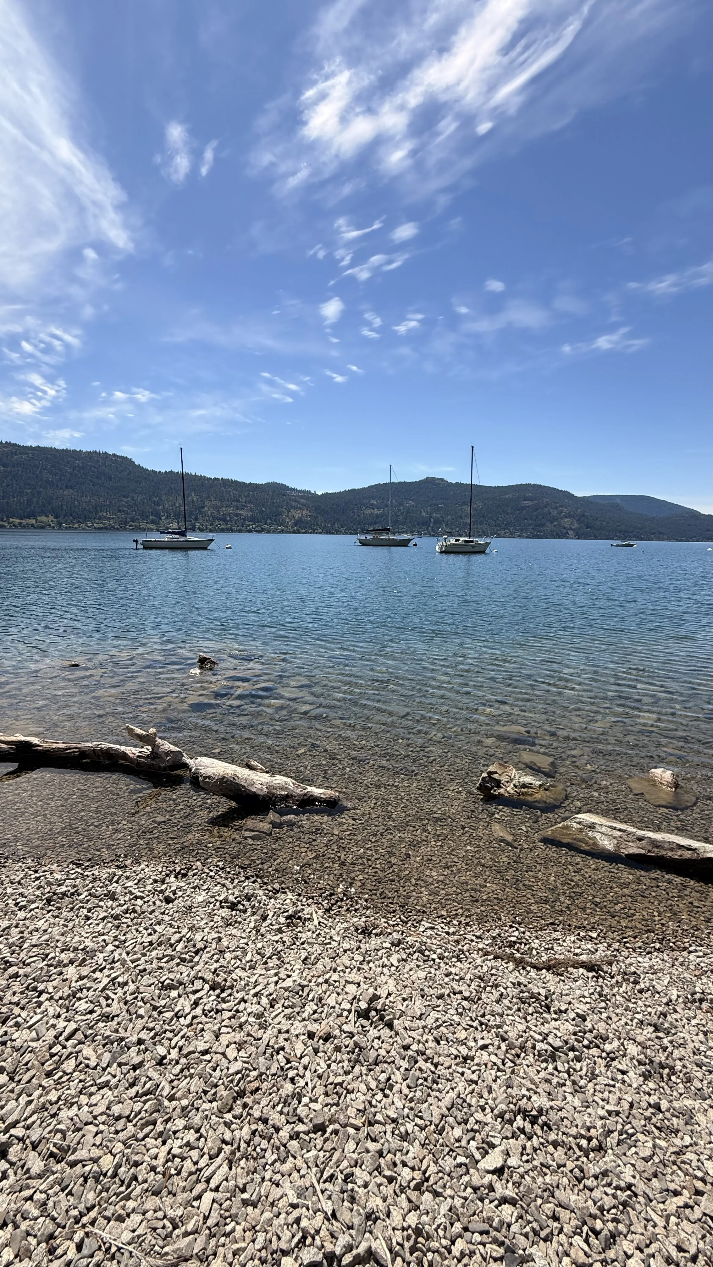 IMG_2361.jpeg