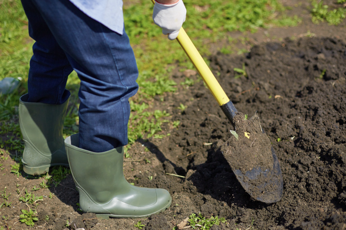 5 Landscaping Additions to Invest In This Year