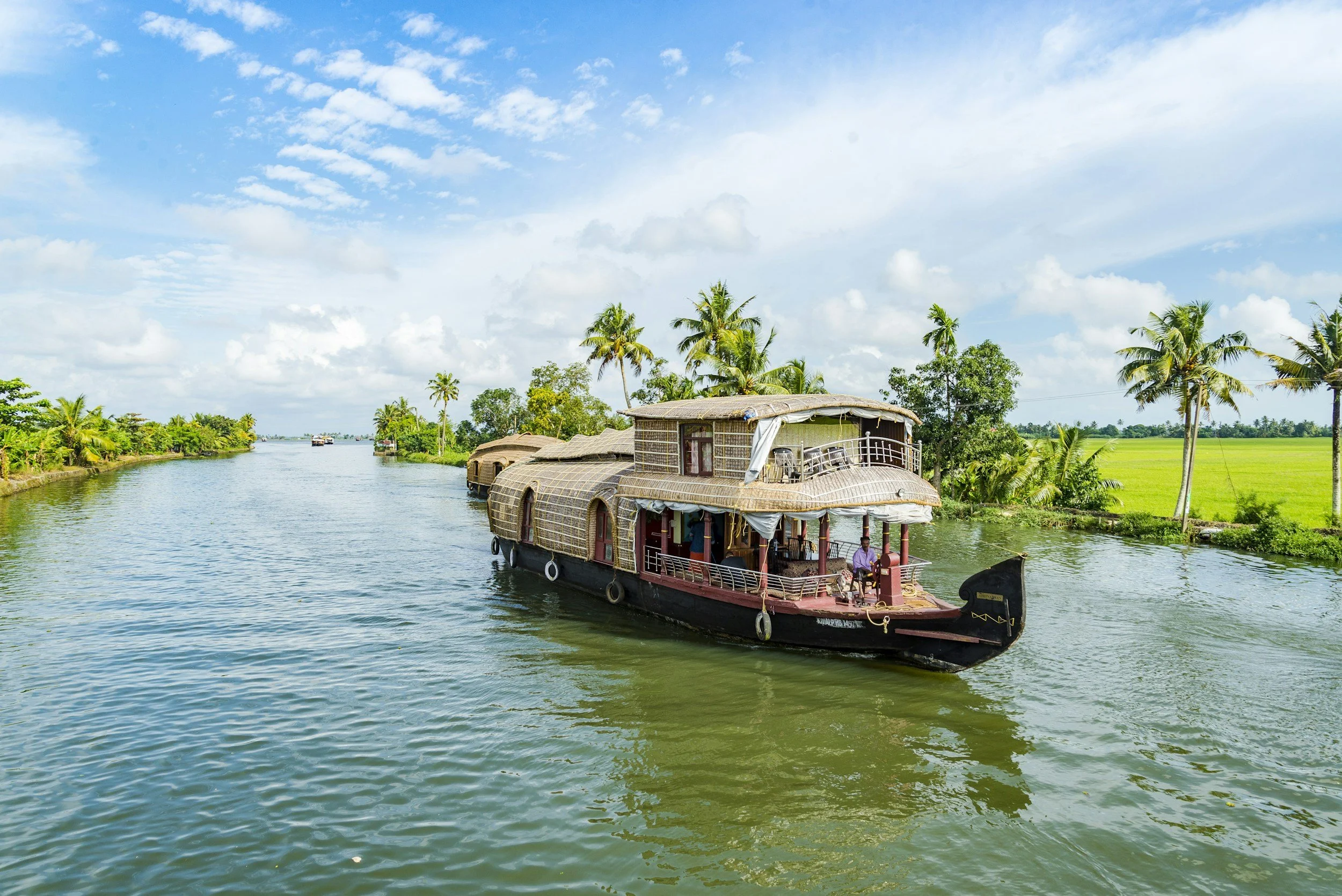 5 Days 4 Nights in Kerala: Athirapilly, Munnar and Alleppey Houseboat Experience