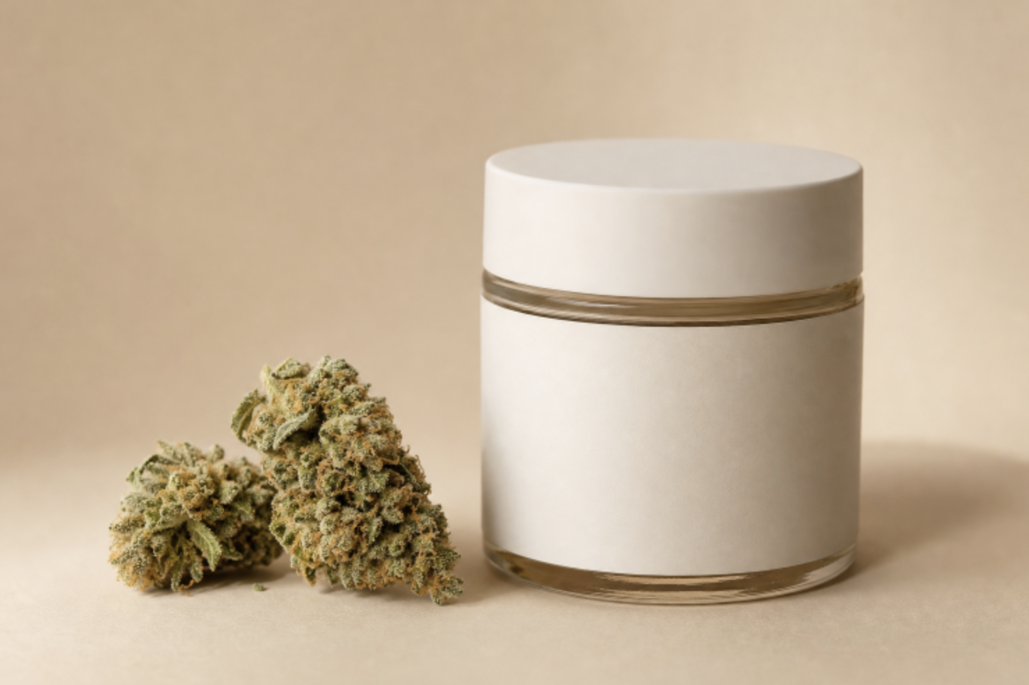Best CBD-Heavy Strains for Anxiety Available at City Leaves Dispensaries