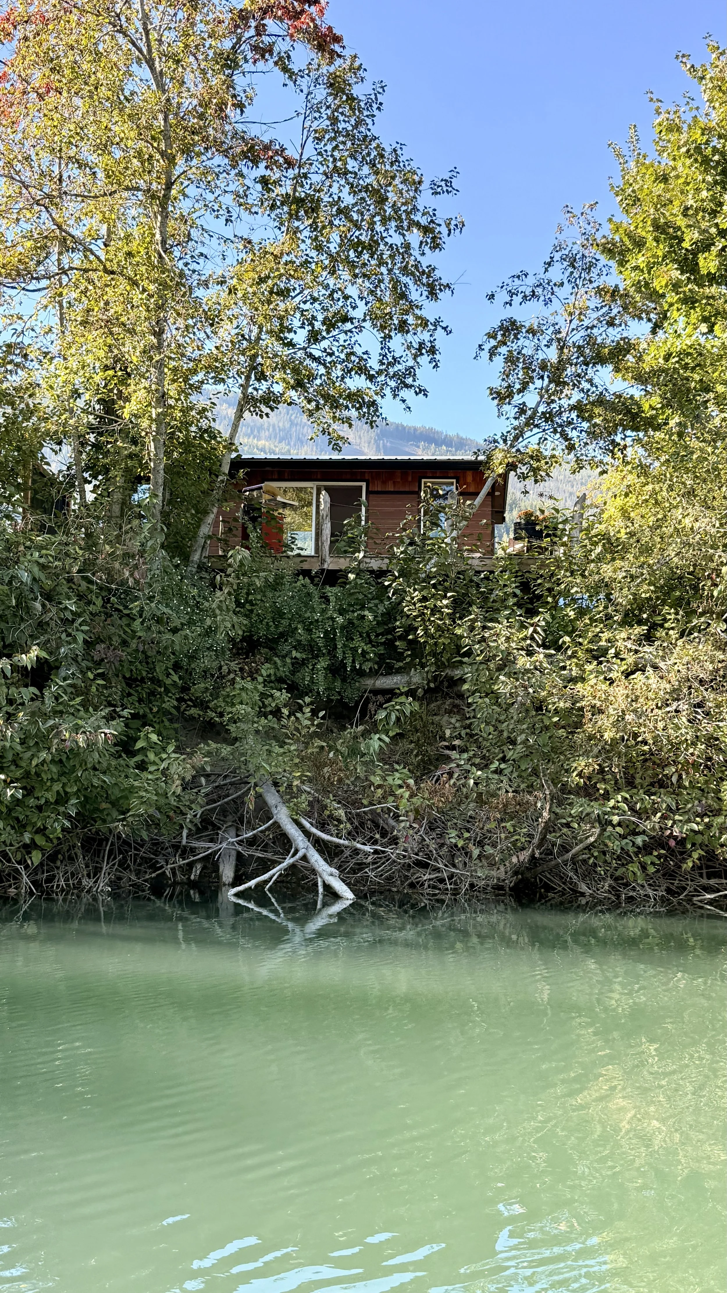 IMG_6512.jpeg