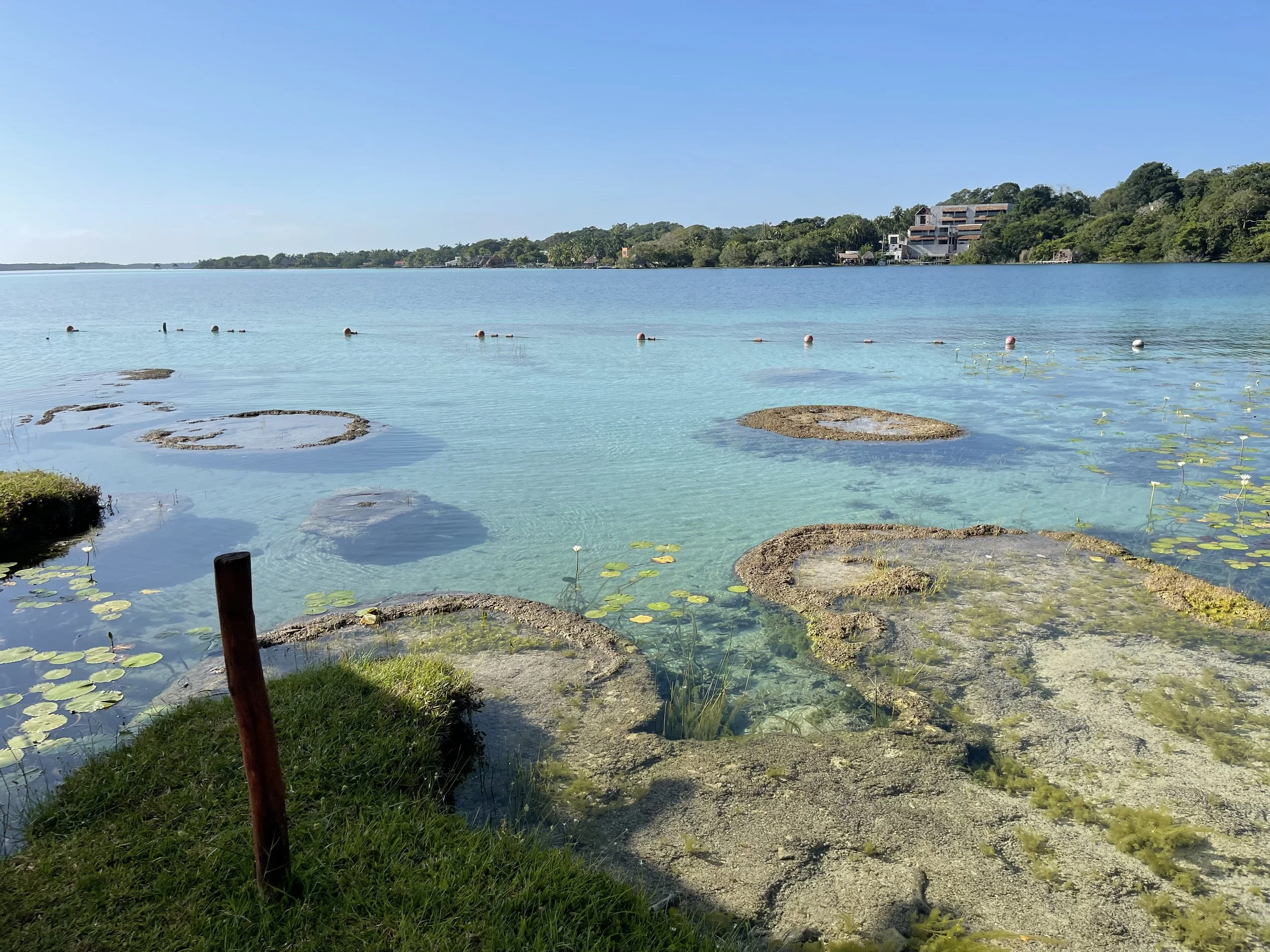 Cenote-Cocalitos-Bacalar-Lagoon.jpg