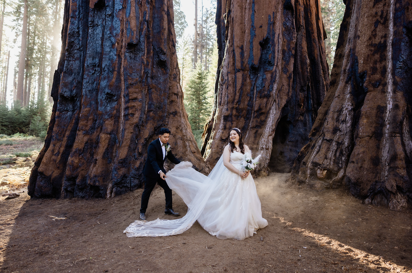 A wedding in the Redwoods