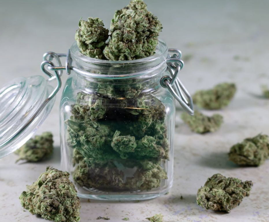 cannabis