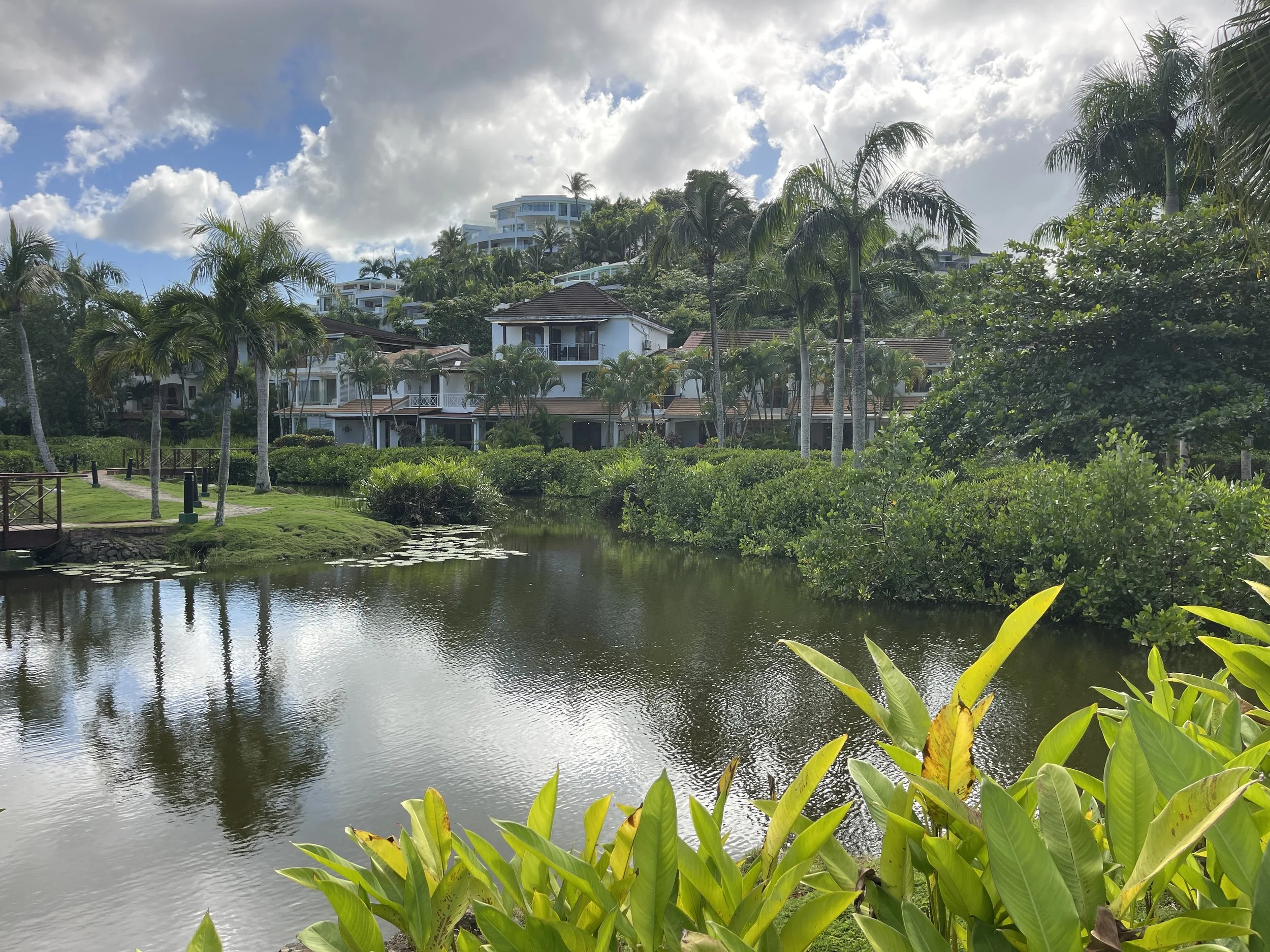 The garden area at Bonita Village in Las Terrenas