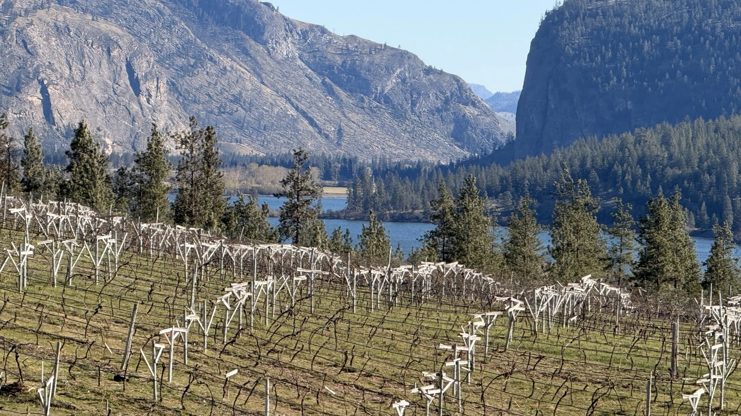 A view of Vasuex Lake from Bighorn Ridge Guest House