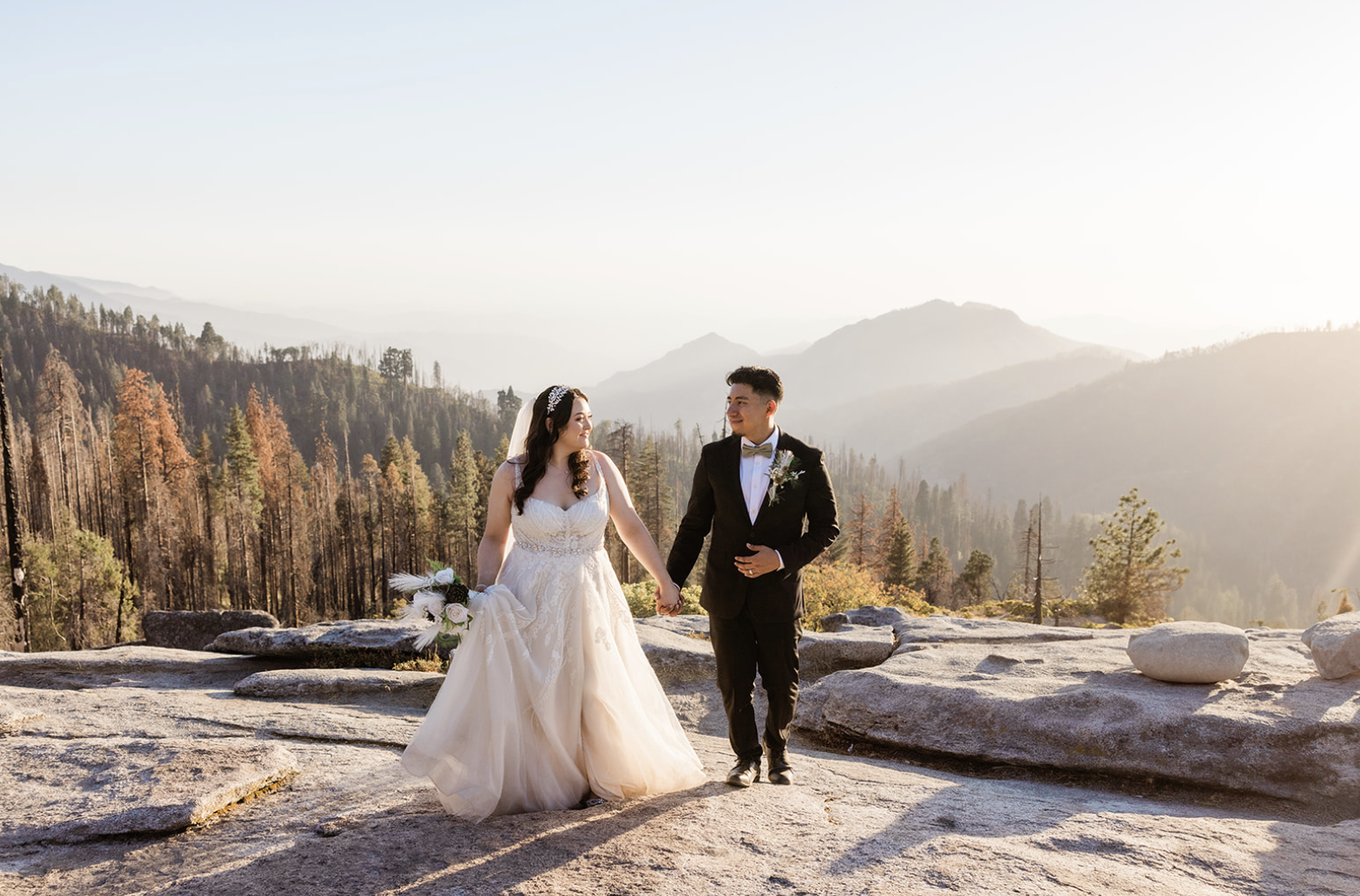 A wedding in the Redwoods