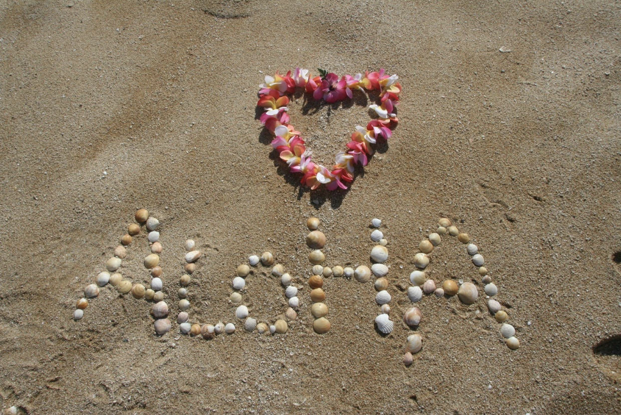 seashells spelling out aloha on a beach in Hawaii
