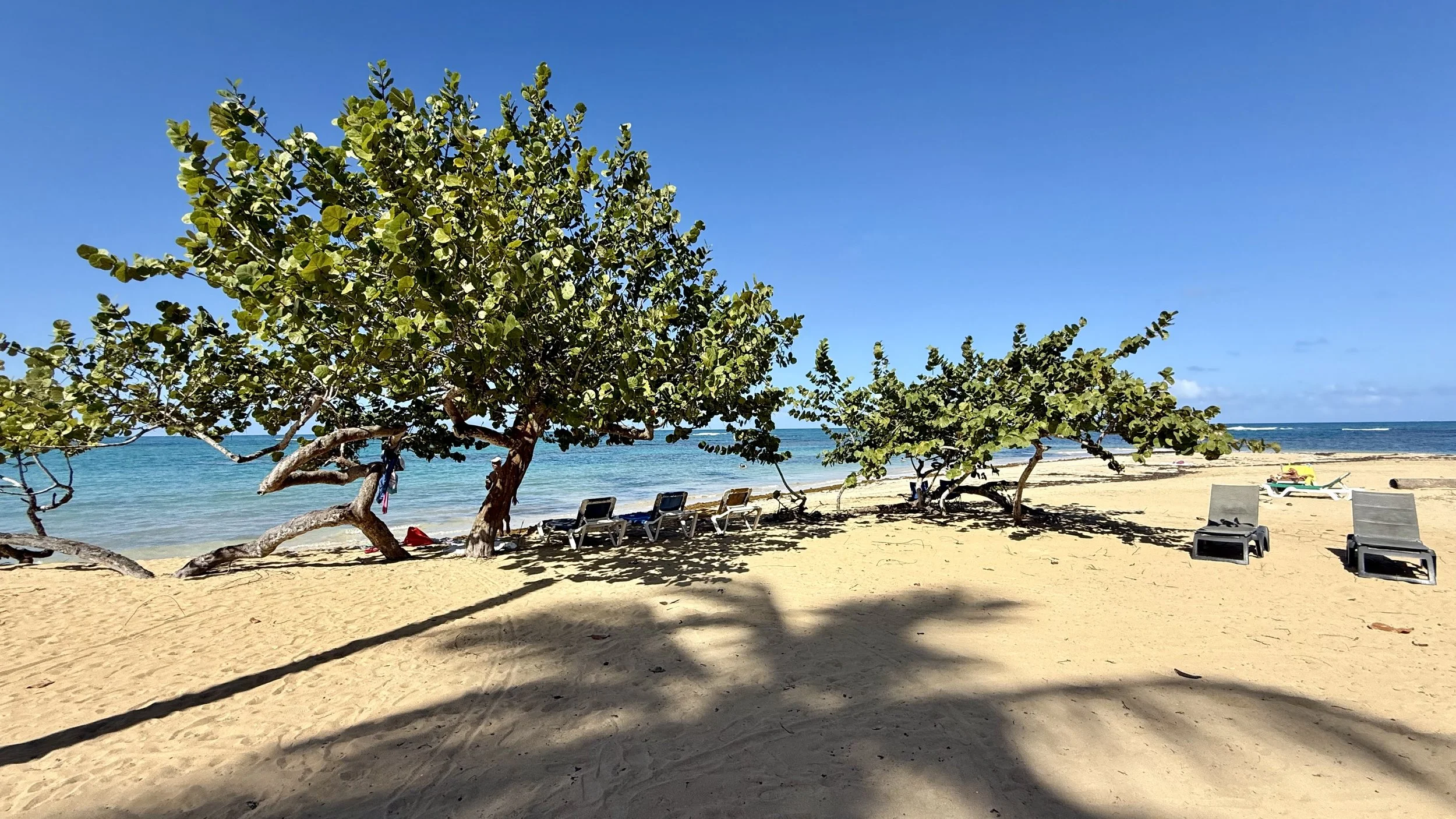 Playa Punta Popy in Las Terrenas