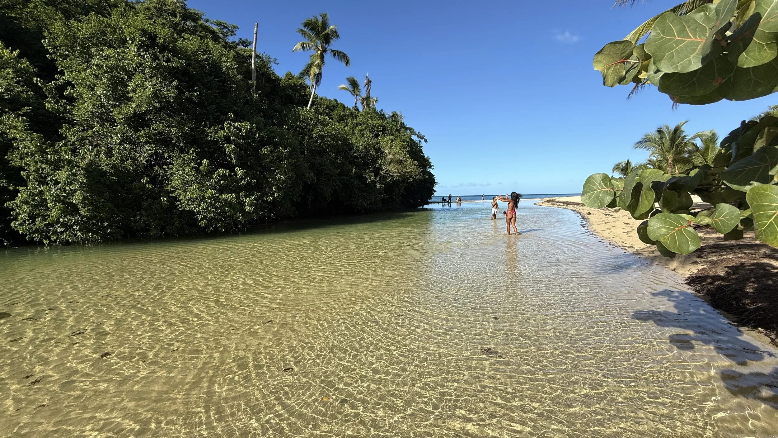 Las Ballenas River in Las Terrenas