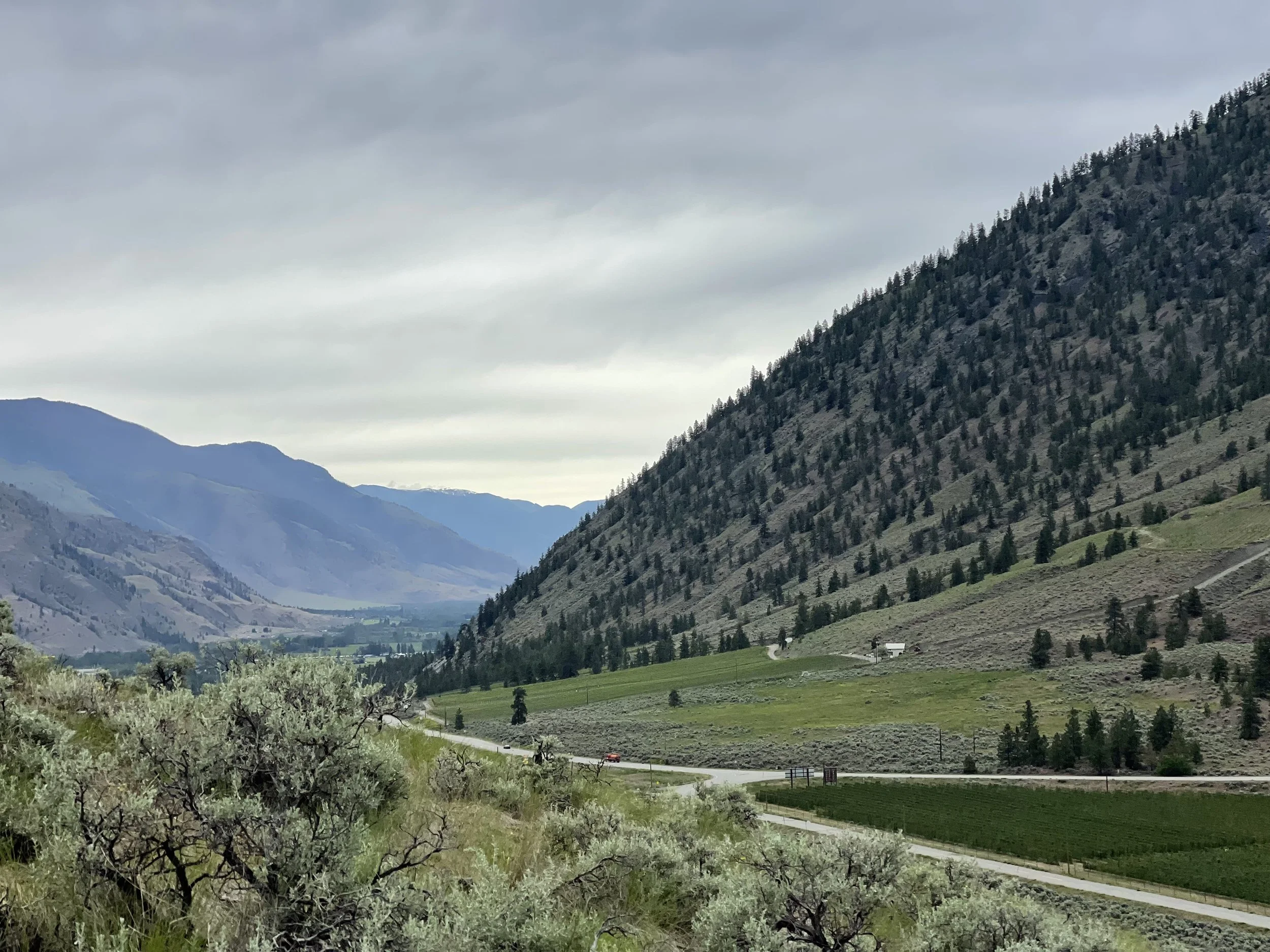 Nighthawk Hill Trail, Cawston, BC — Exploratory Glory Travel Blog