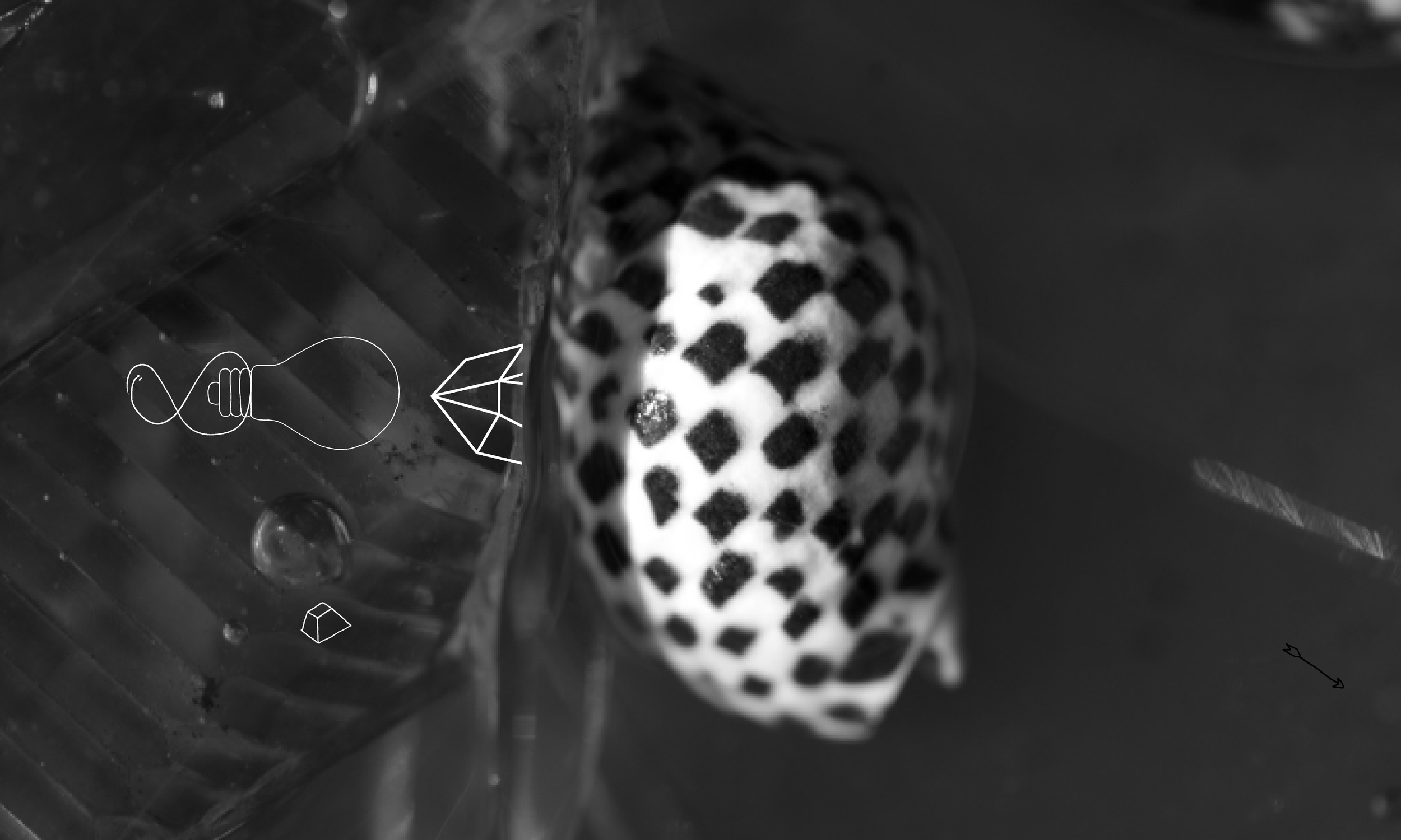 banner 2.png