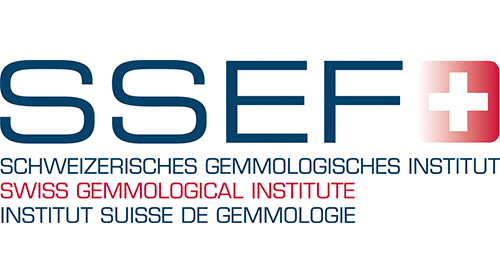 ssef.jpg