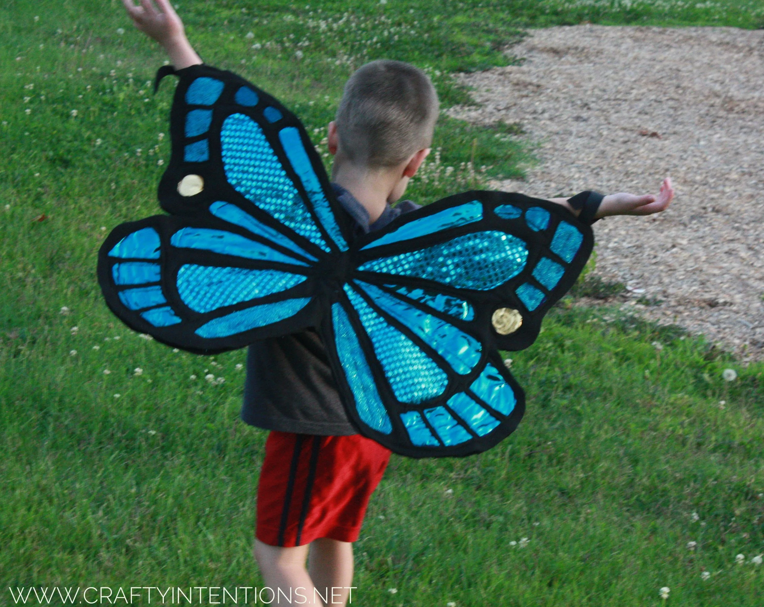 2014 Butterfly Wings Cape 2-01.jpeg