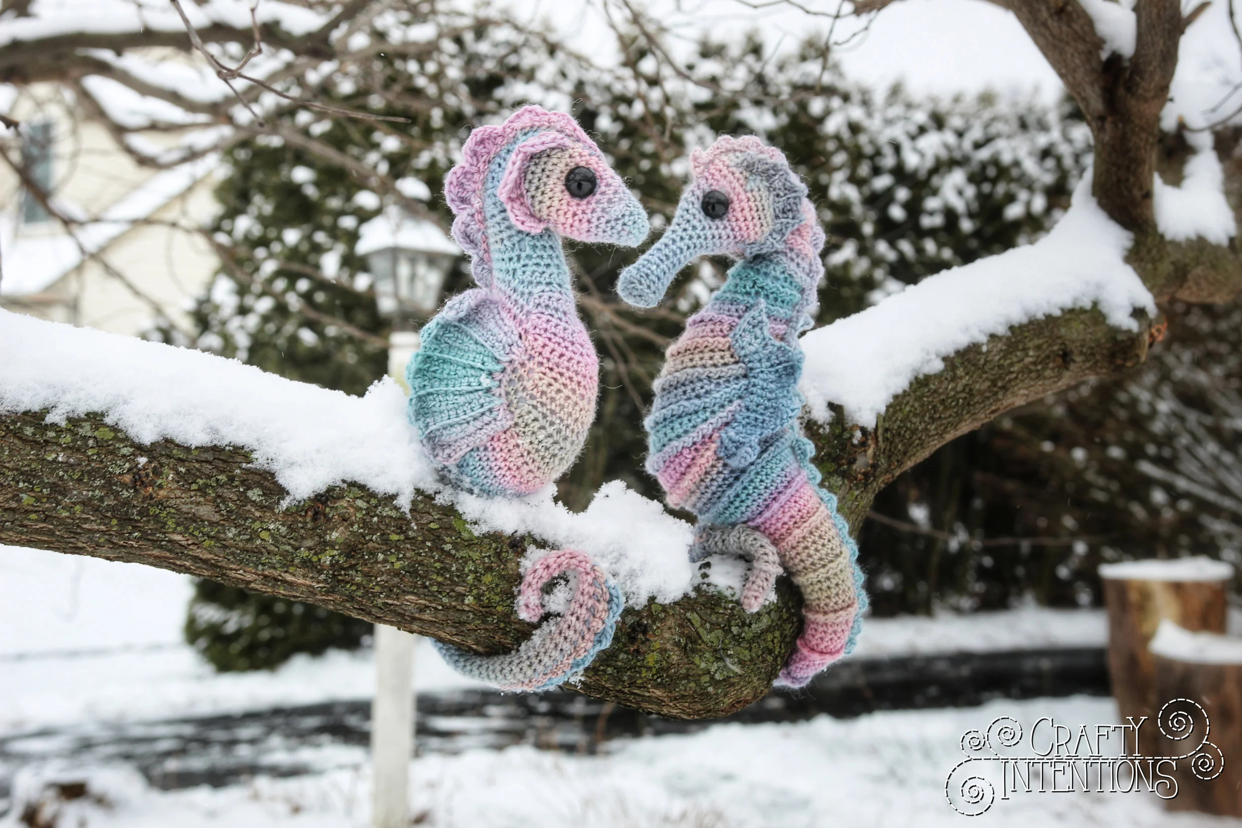 IMG_2449-01 Logo.jpg