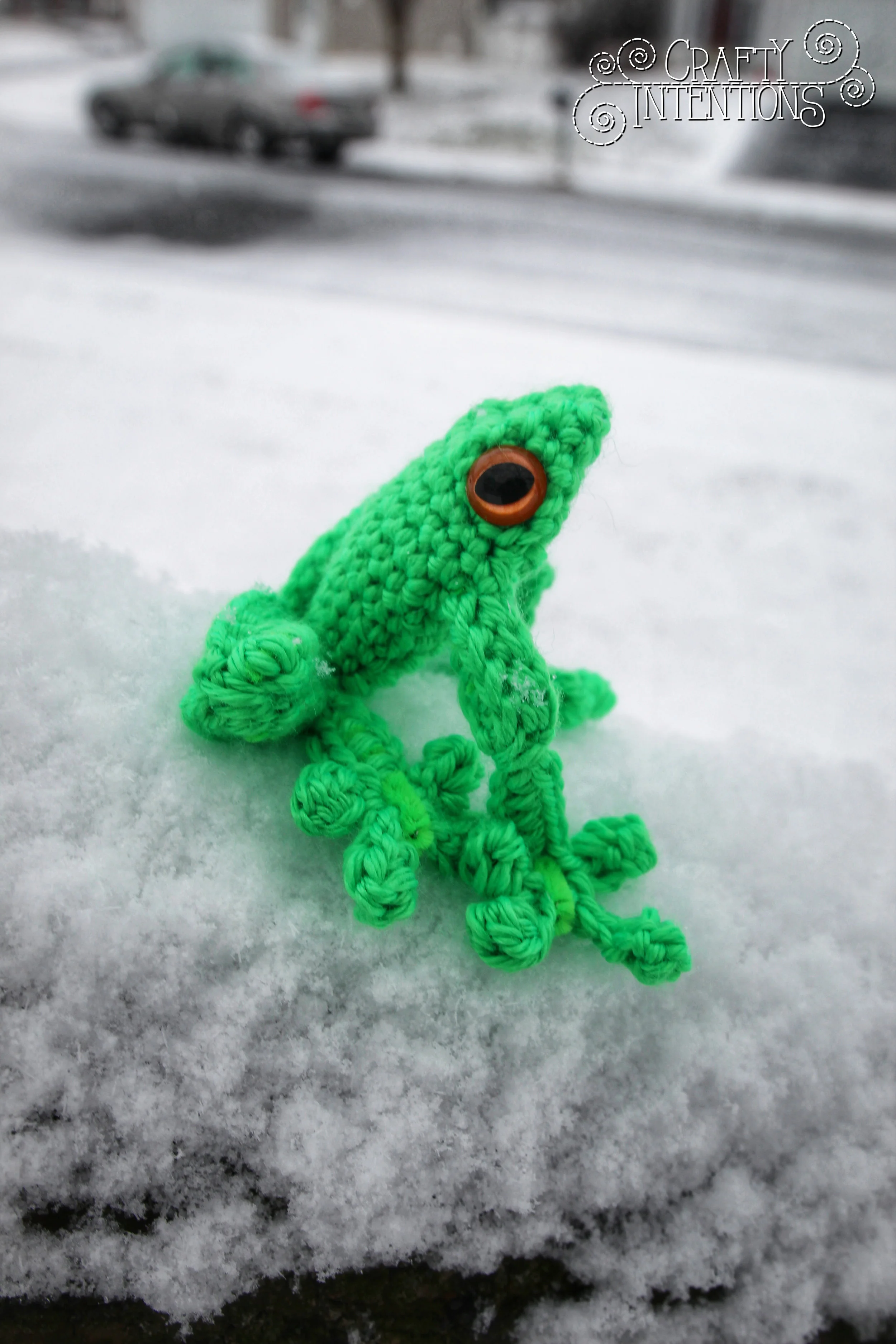 IMG_2716-01 with Logo.jpg