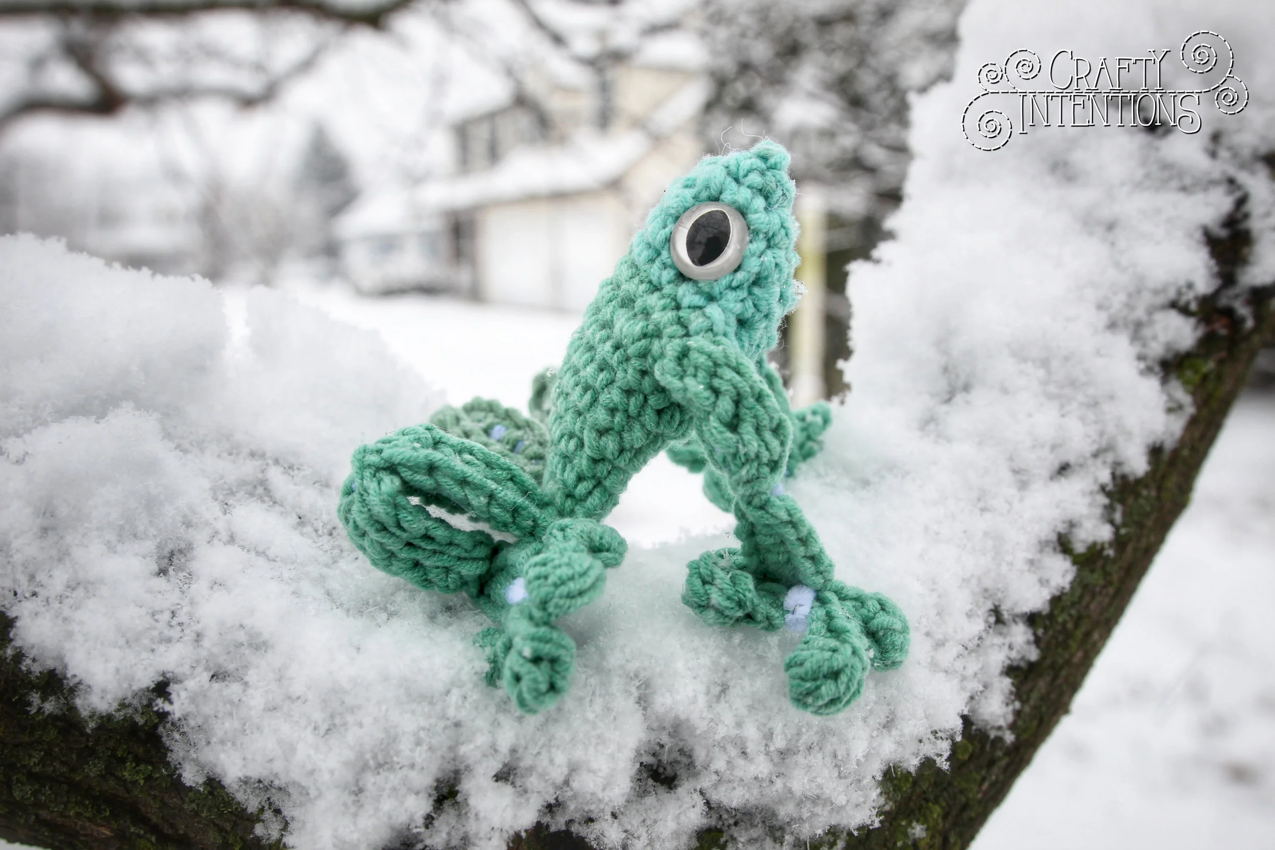 IMG_2809-01 with Logo.jpg