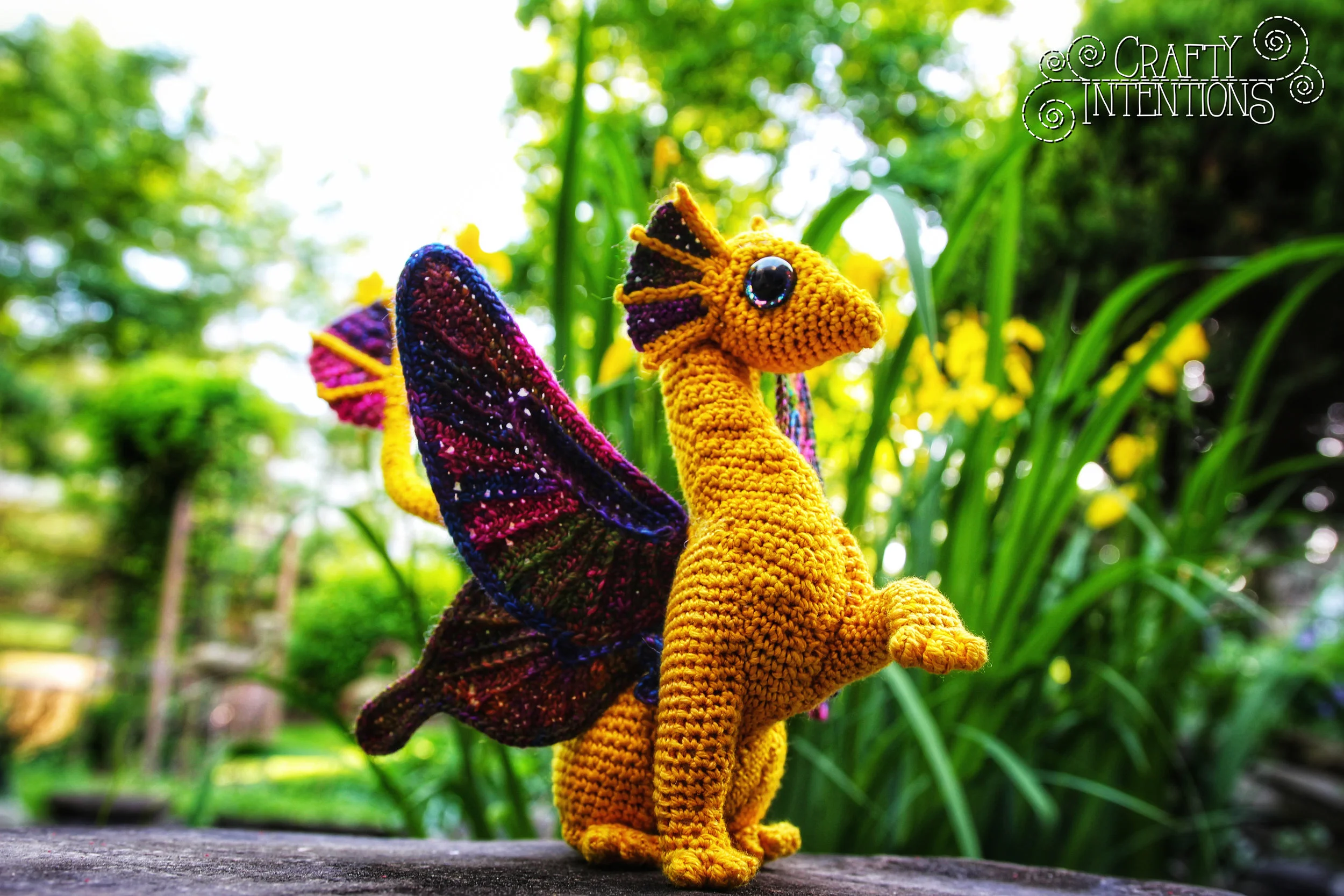 IMG_6504-01 with Logo.jpg