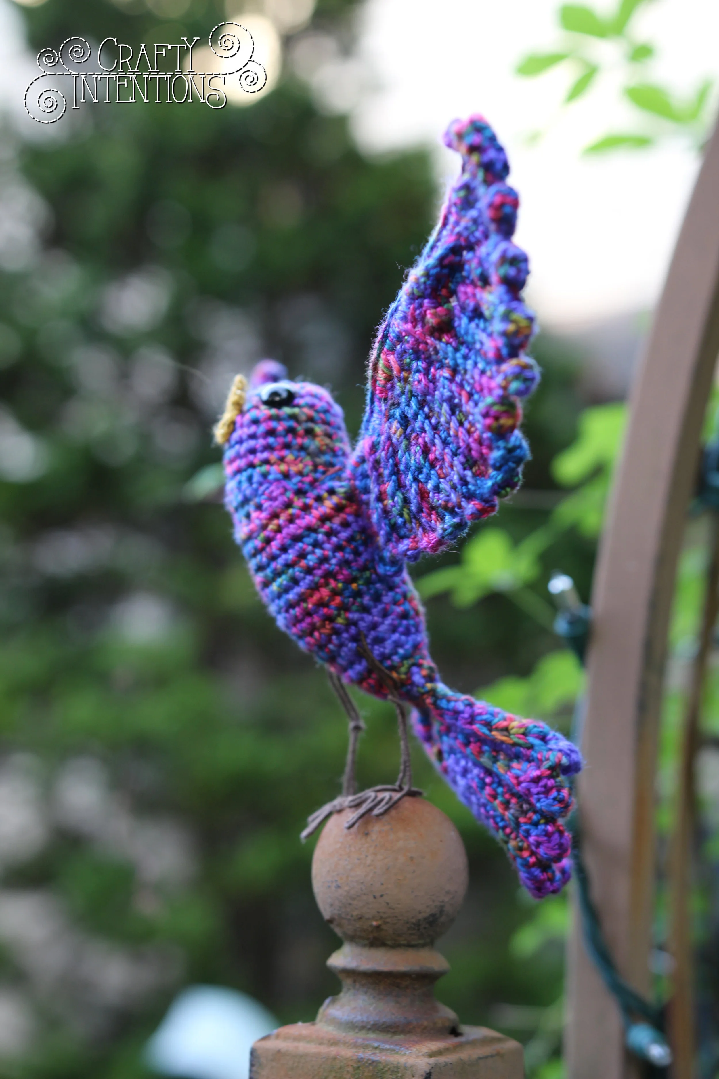 IMG_6600 with Logo.jpg