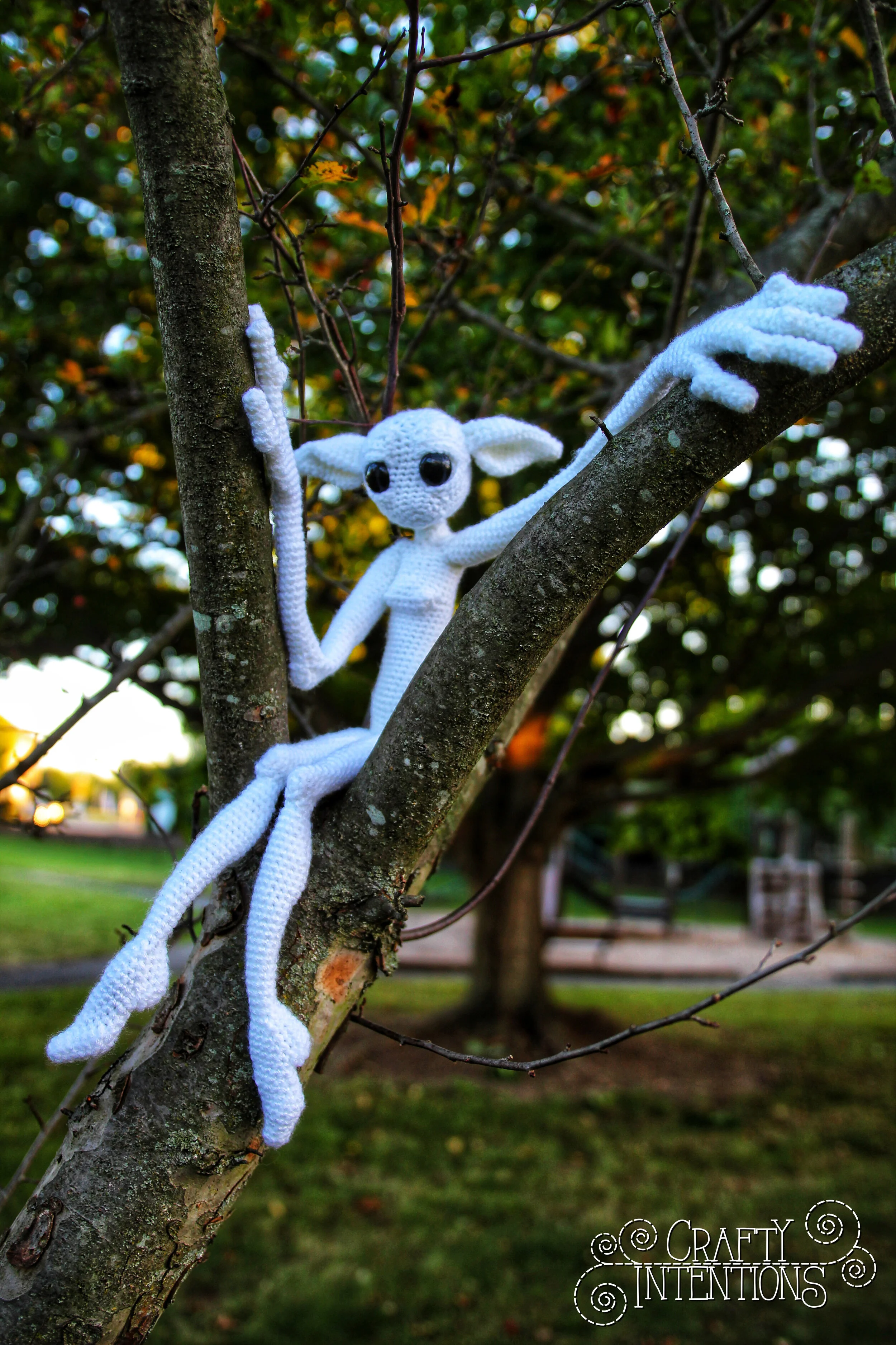 IMG_5478-01 with Logo.jpg