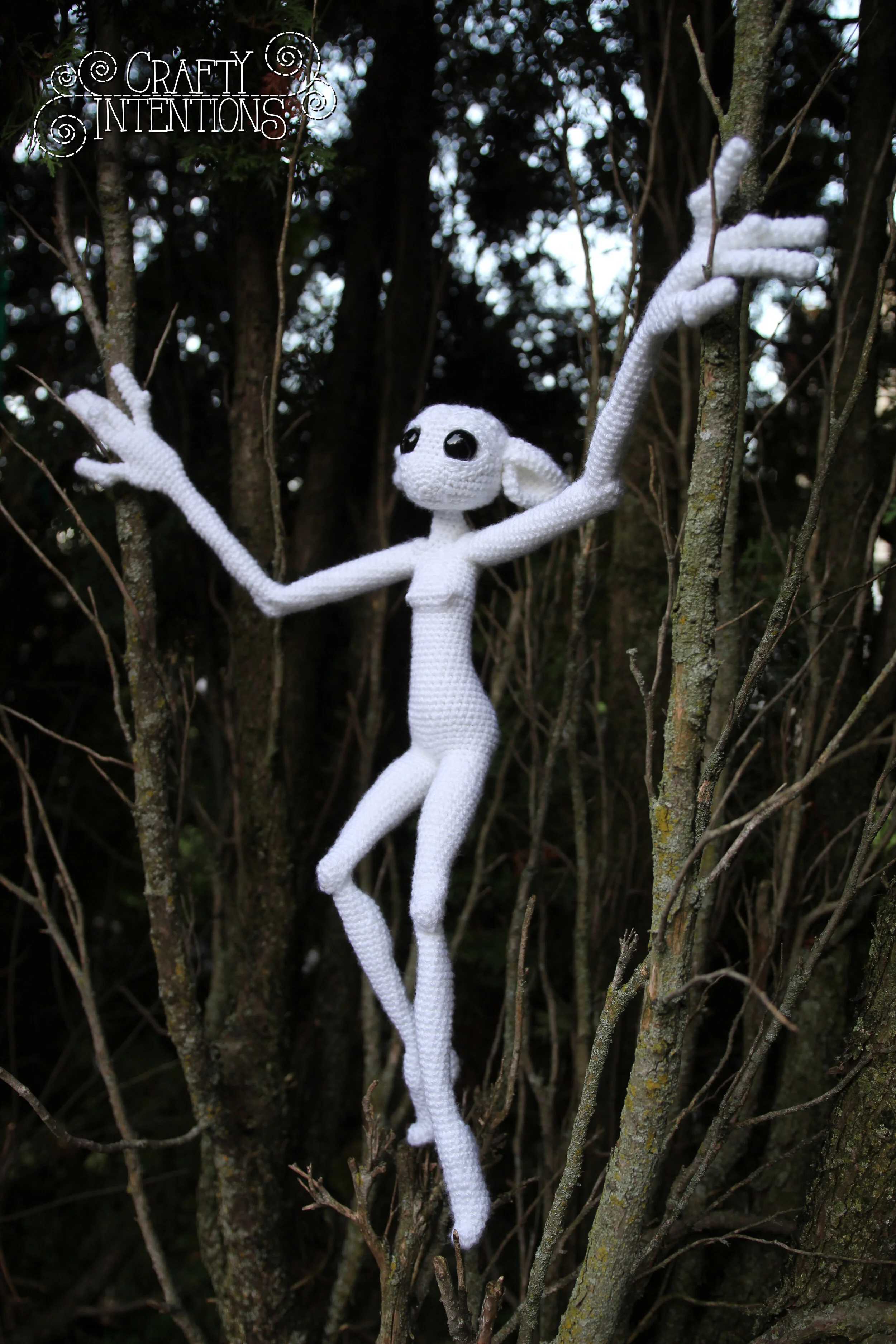 IMG_5505 with Logo.jpg