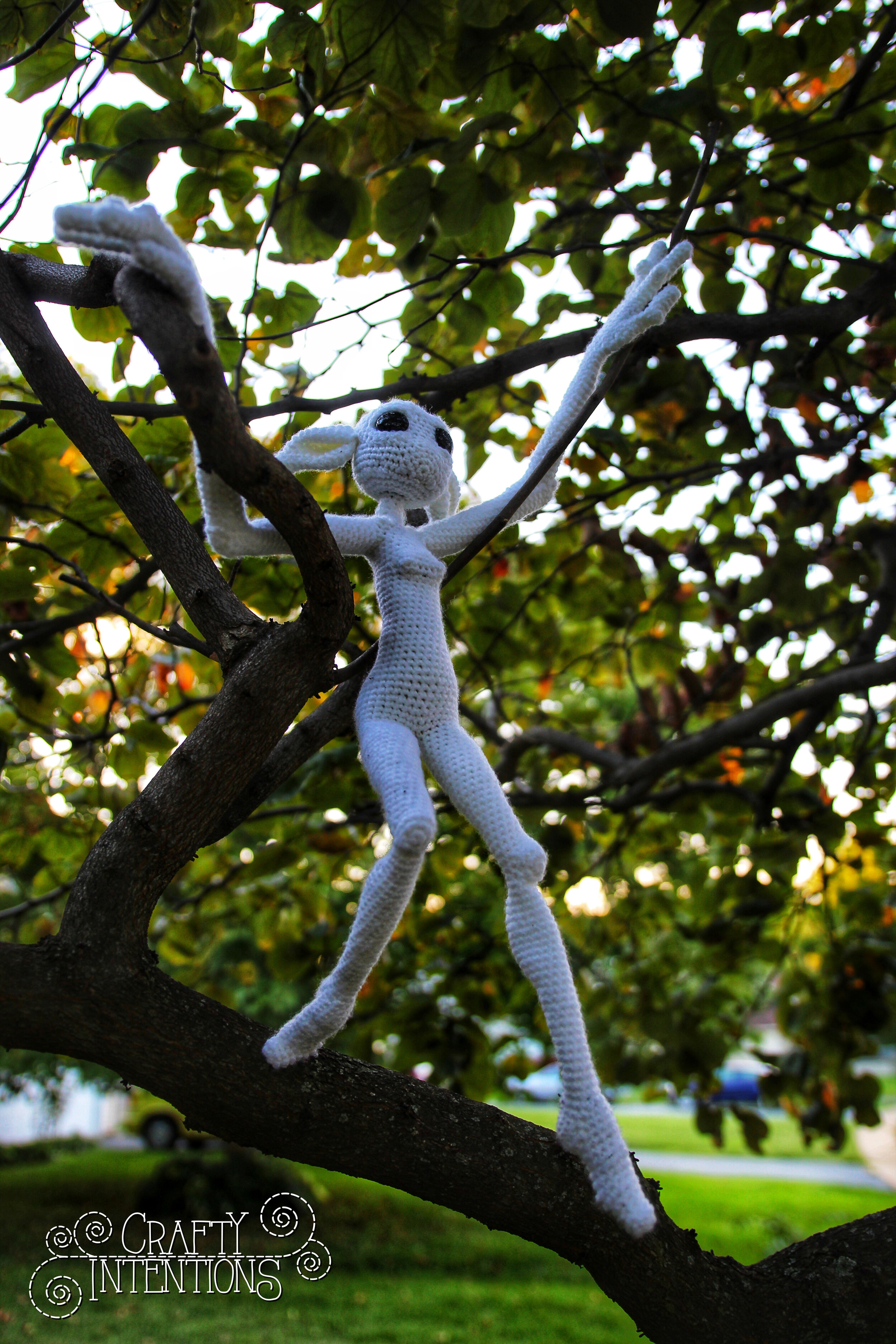 IMG_5498-01 with Logo.jpg