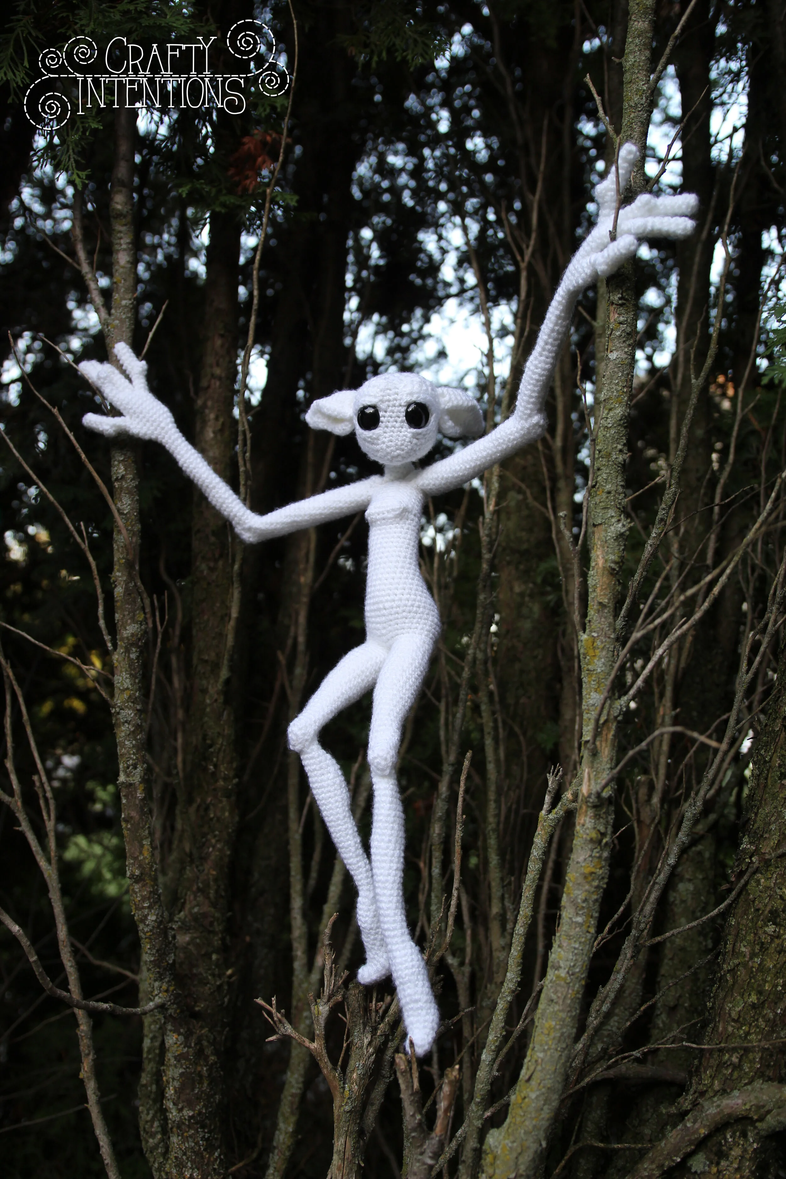 IMG_5508 with Logo.jpg