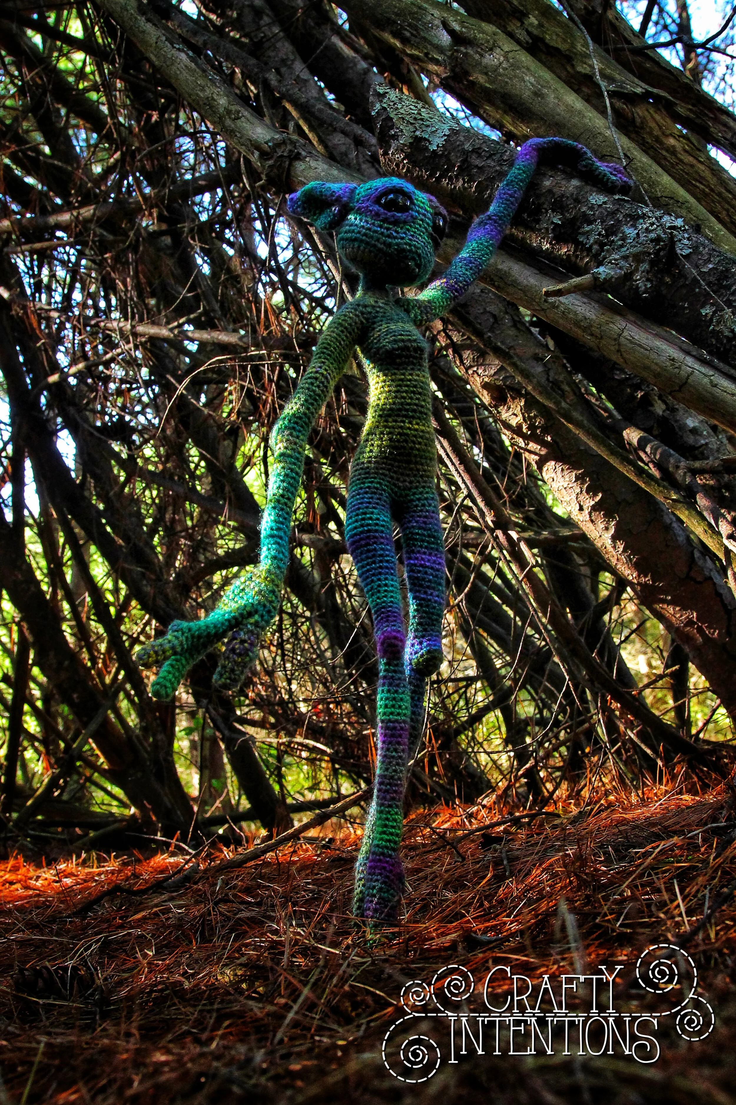 IMG_7037-01 with Logo.jpg