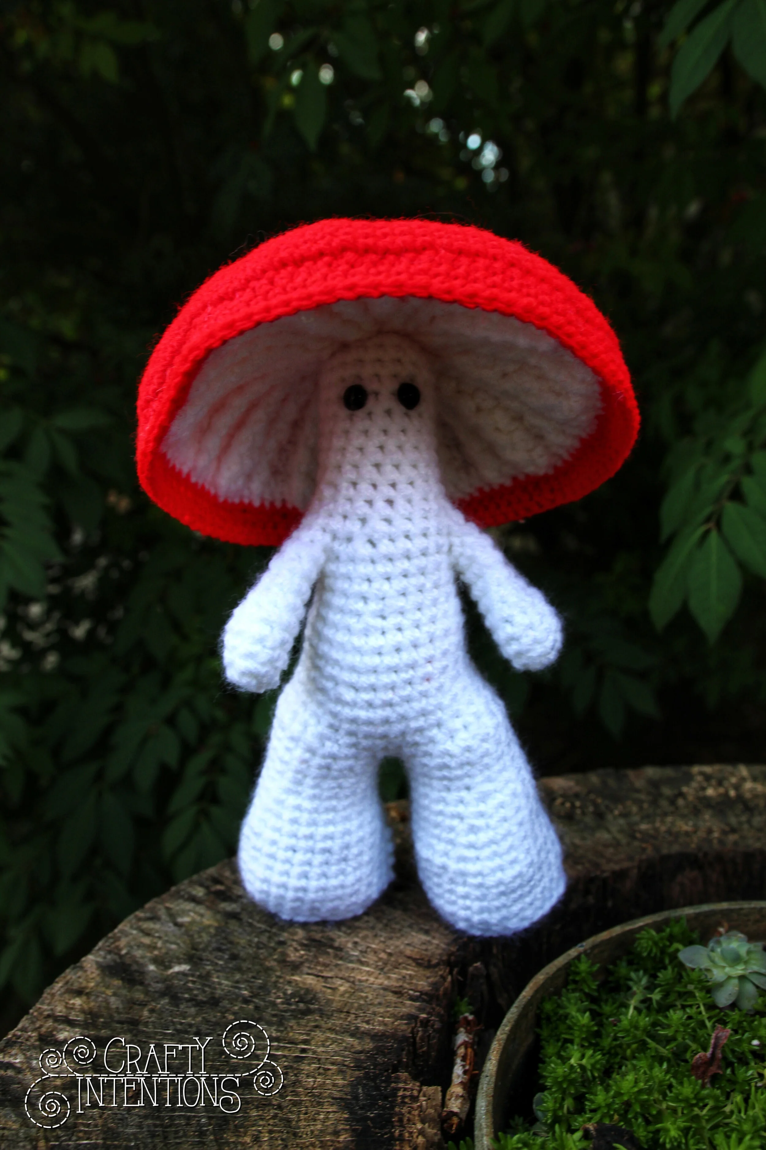 IMG_5553-01 with Logo.jpg