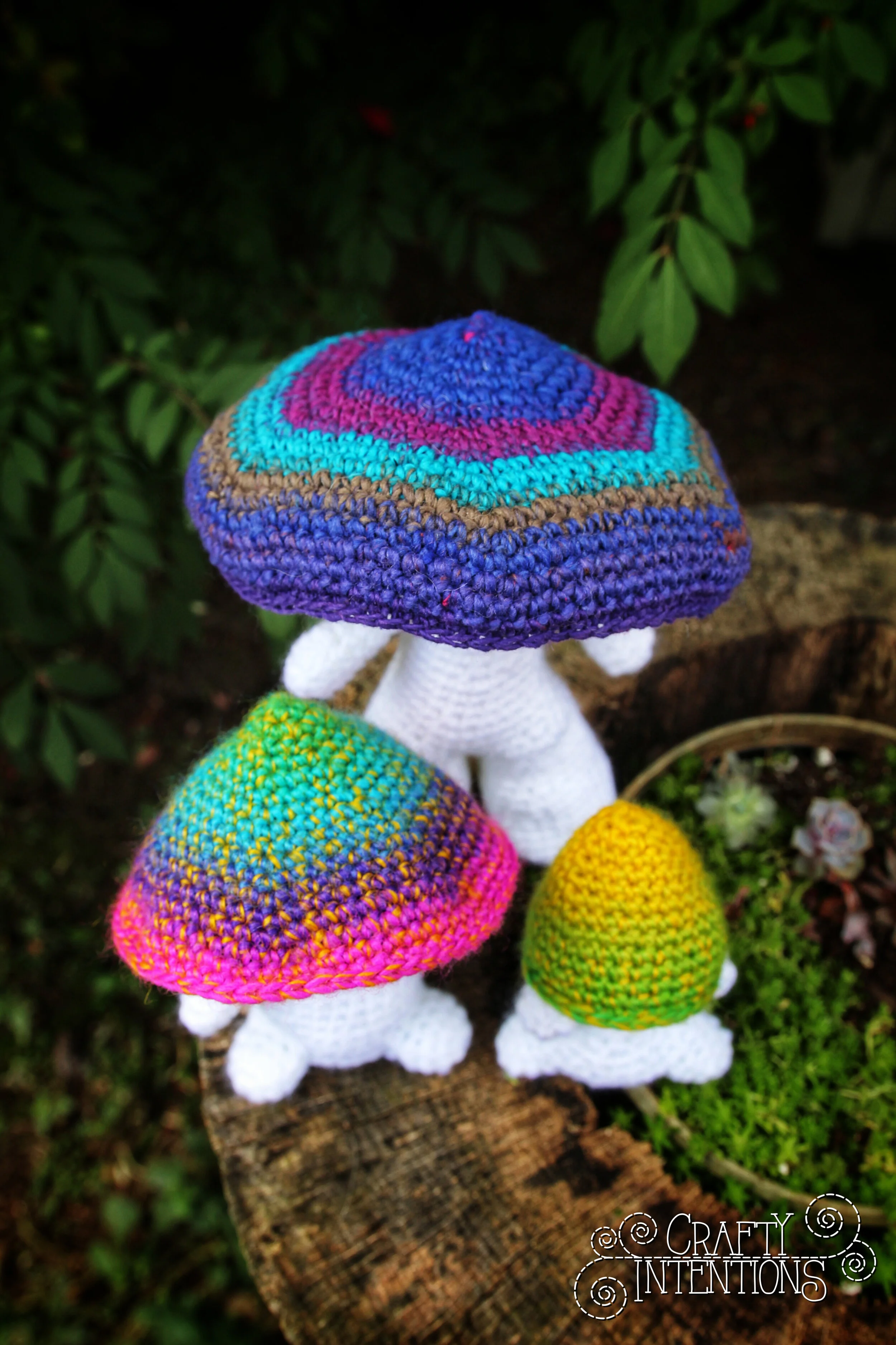 IMG_5569-01 with Logo.jpg