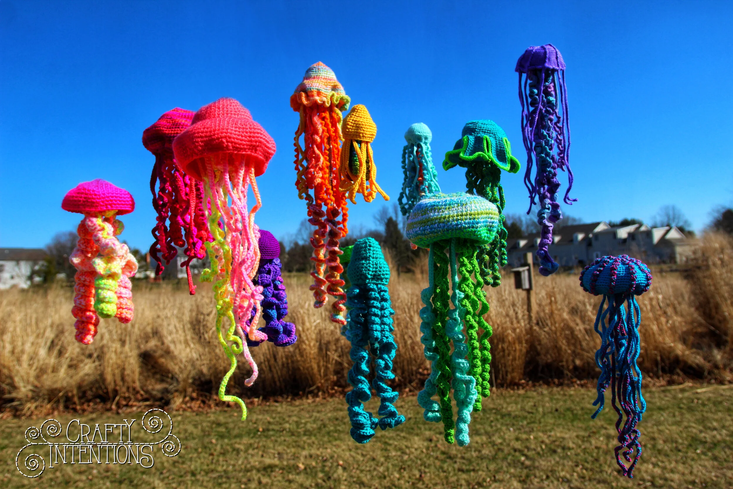 IMG_0502-01 Edited with Logo.jpg