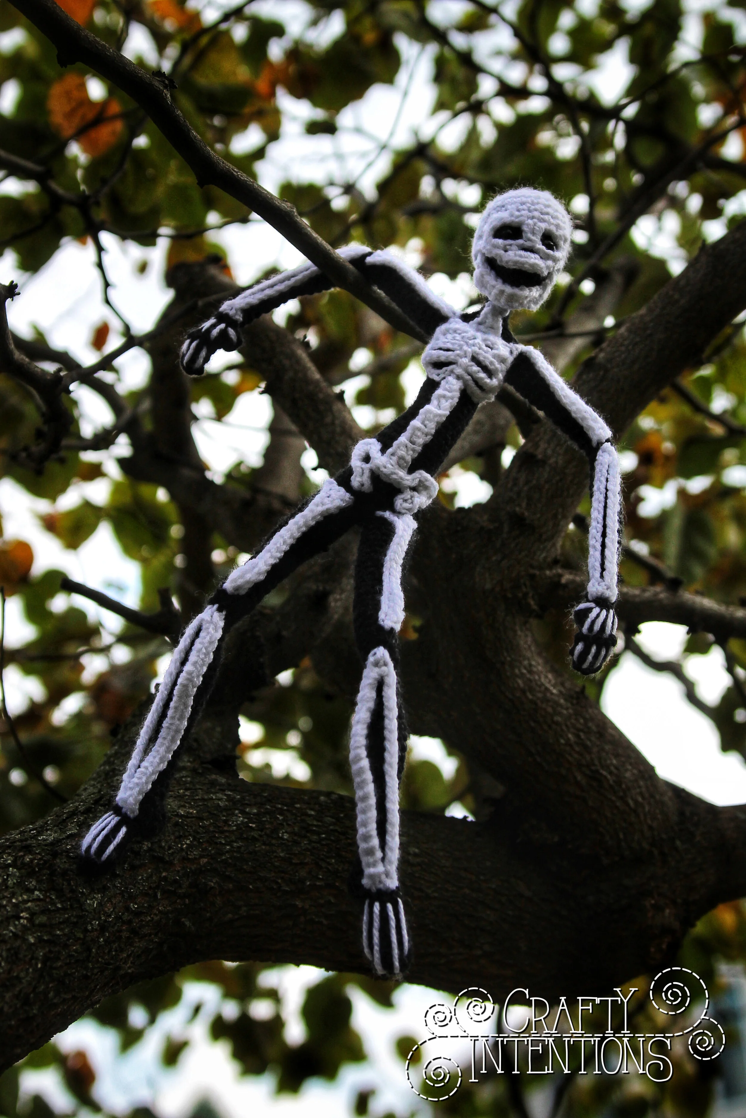 IMG_5763-02 with Logo.jpg