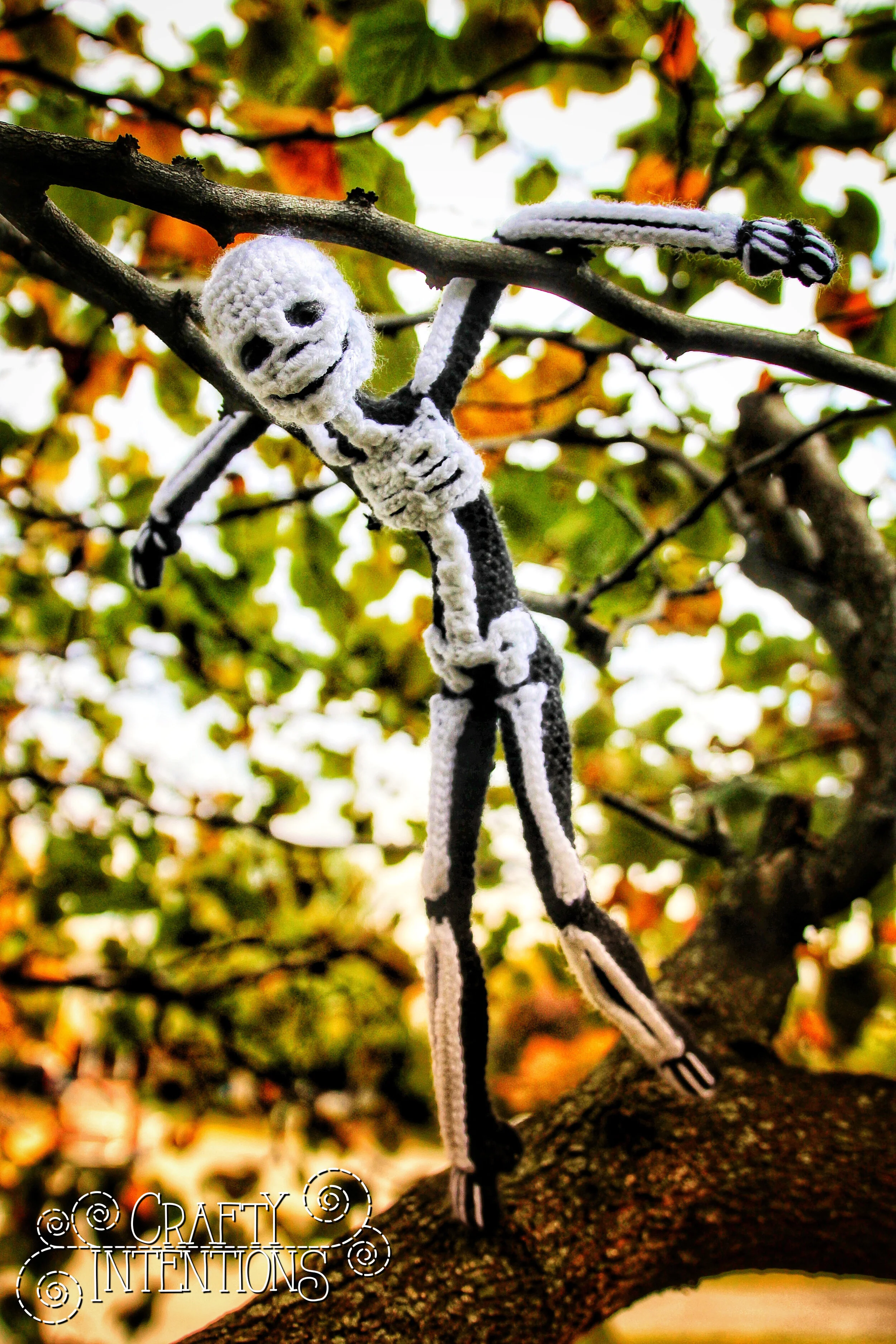 IMG_5781-02 with Logo.jpg