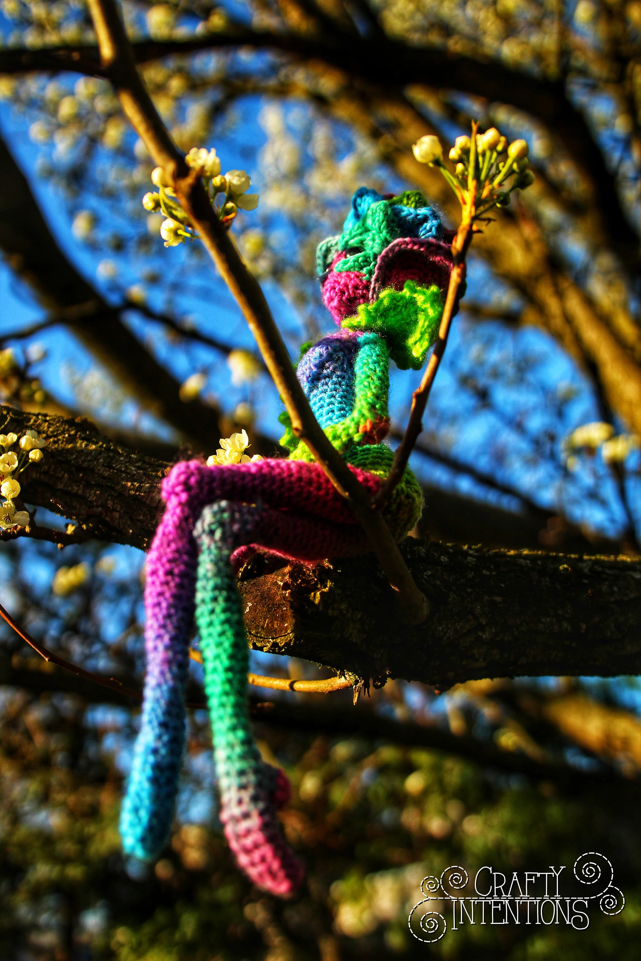 IMG_1951-01 with Logo.jpg