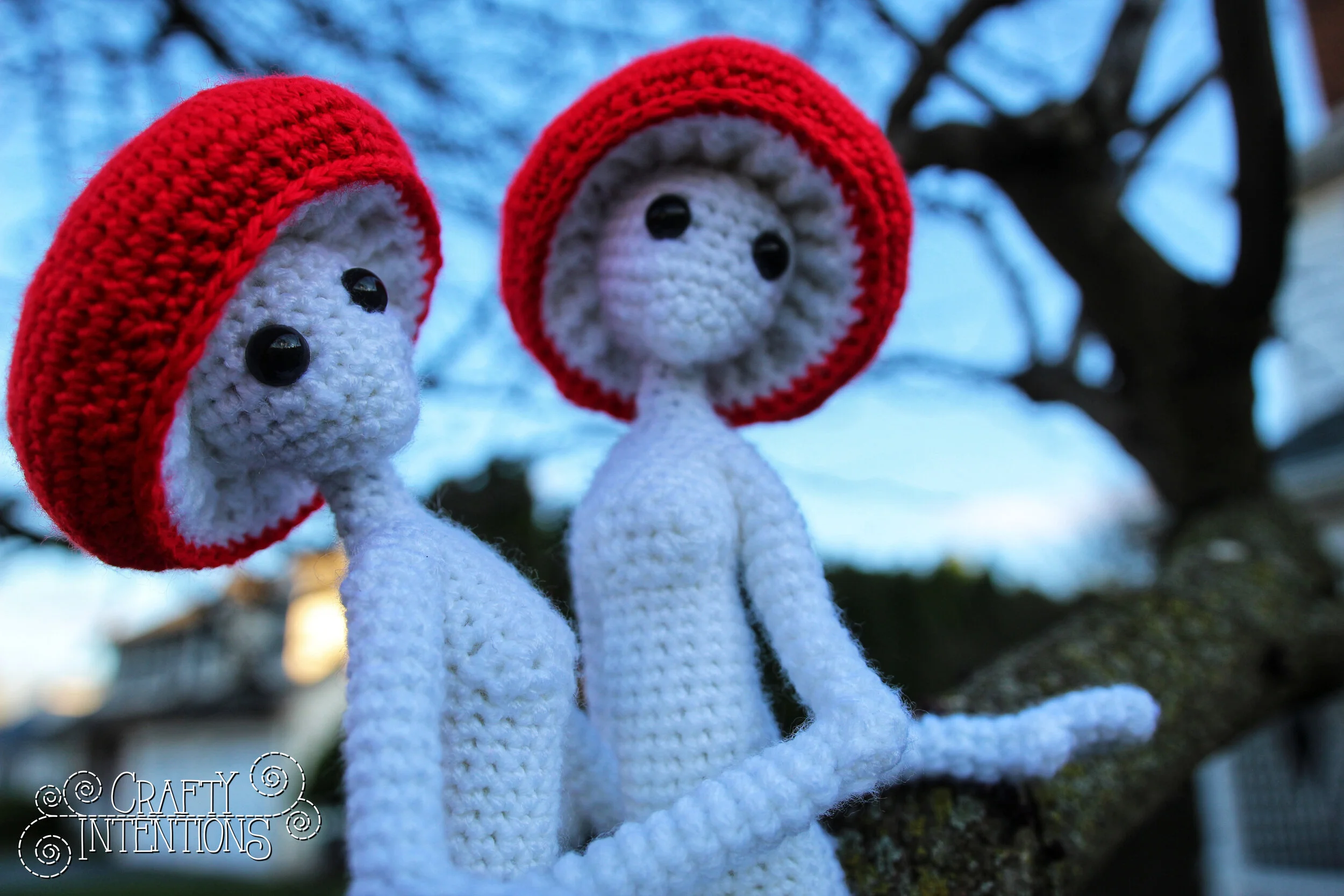 IMG_2029-01 with Logo.jpg