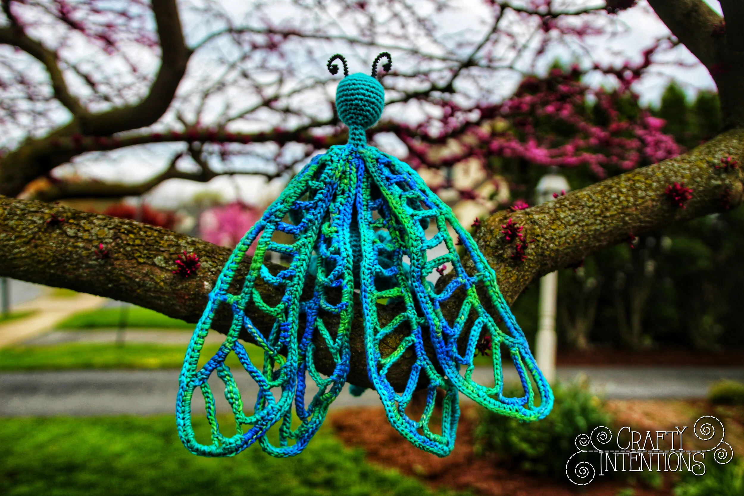 IMG_3251-01 with Logo.jpg