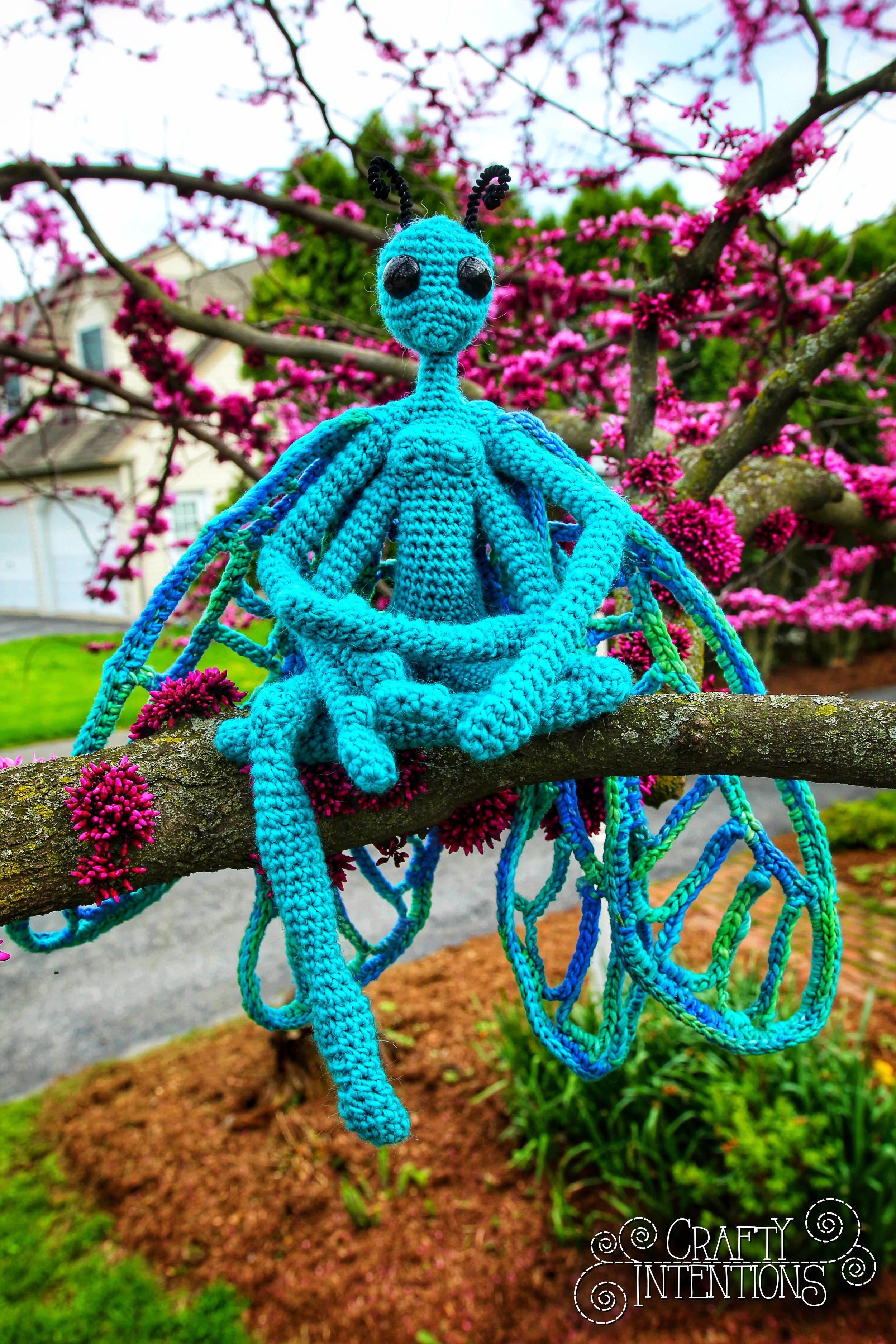 IMG_3235-01 with Logo.jpg