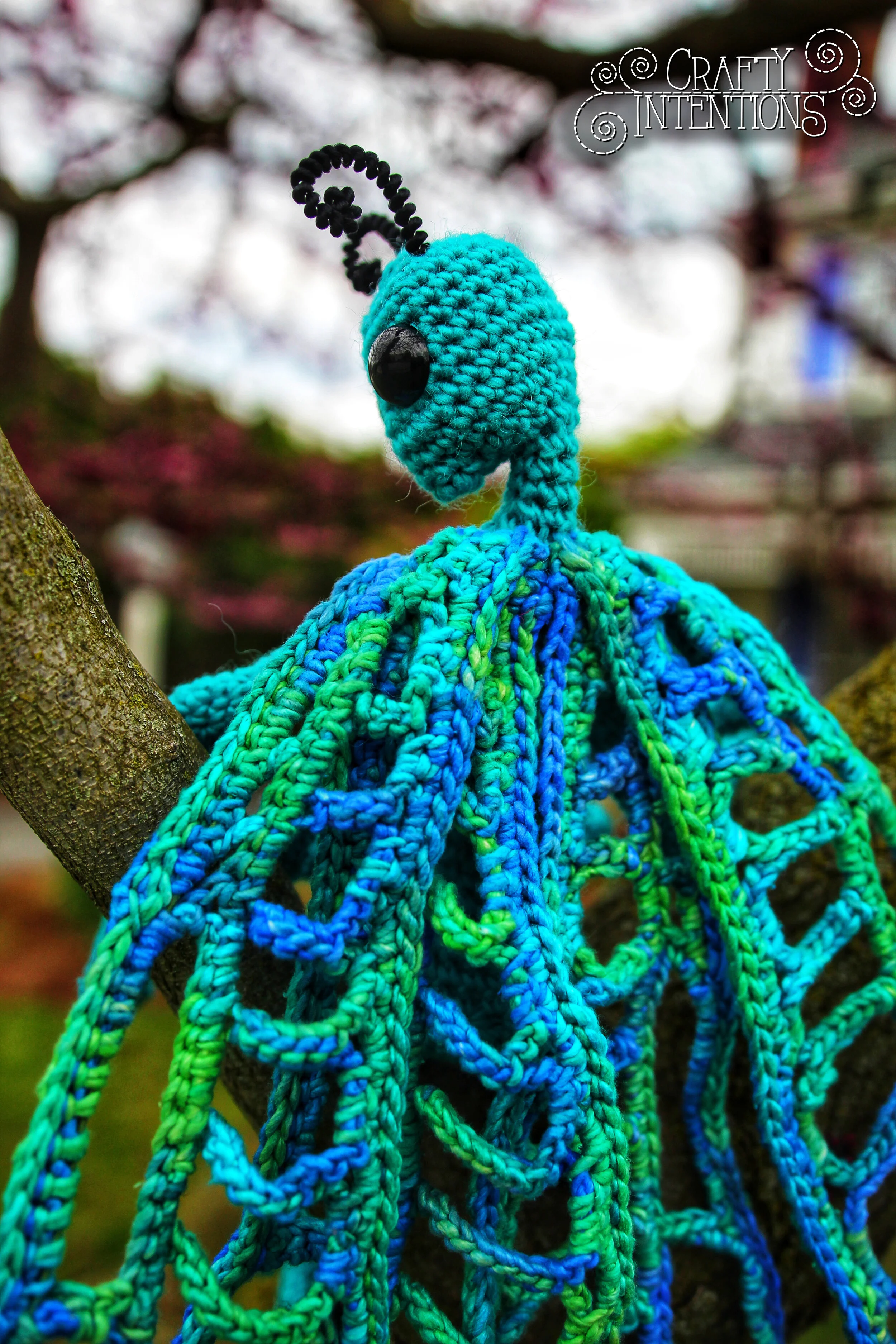 IMG_3347-01 with Logo.jpg