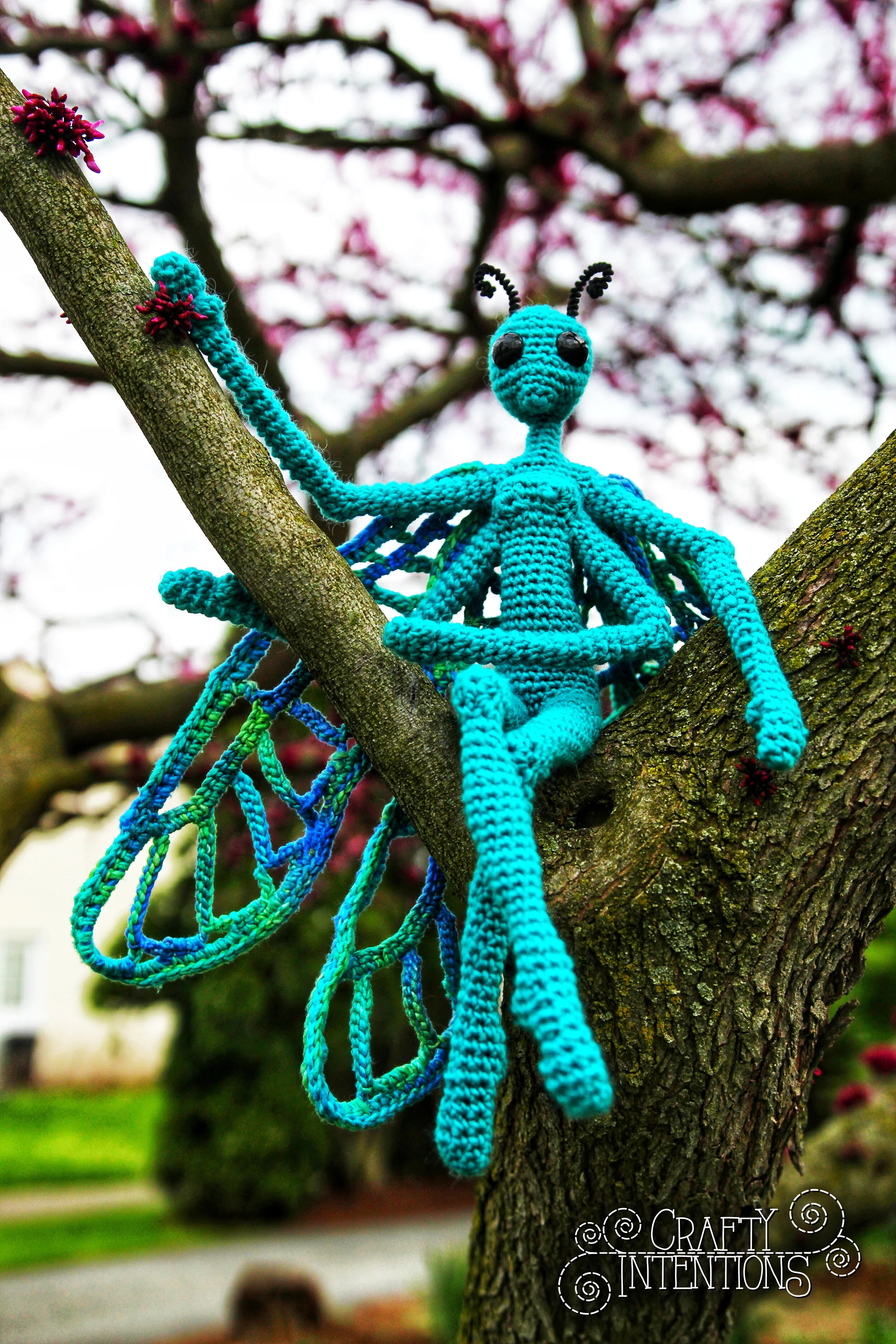 IMG_3255-01 with Logo.jpg