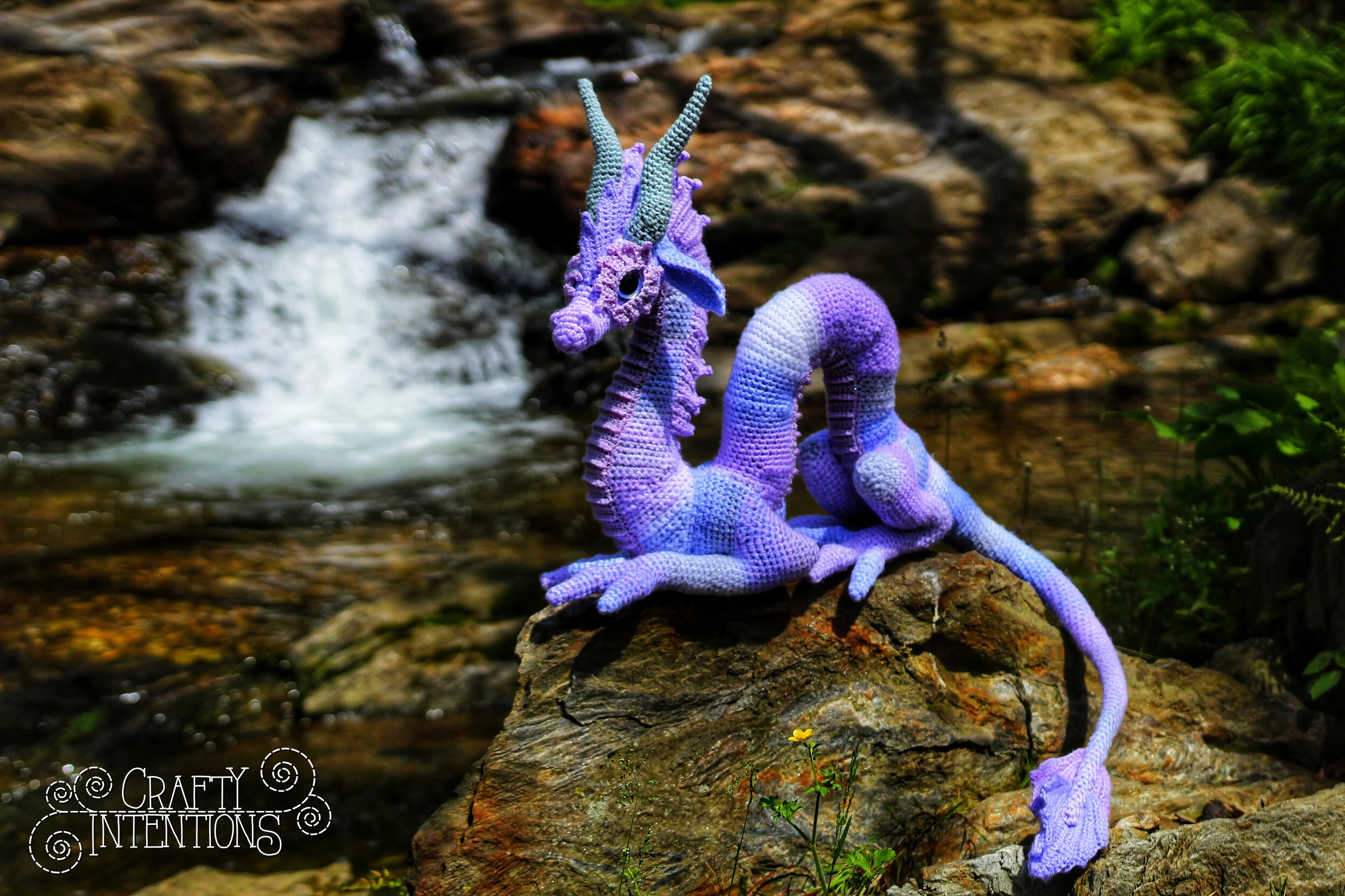 IMG_4742-01 with Logo.jpg