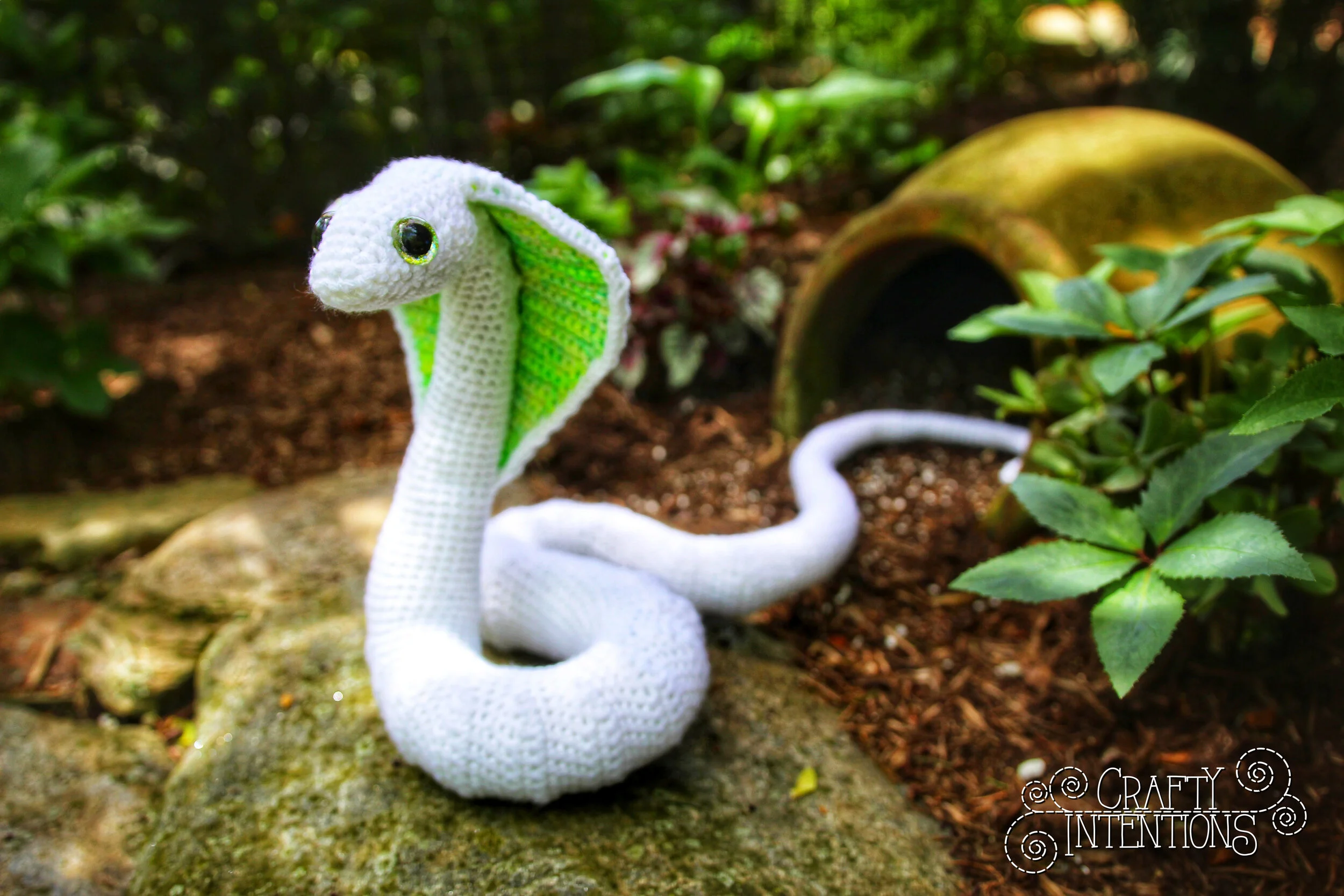 IMG_4416-01 with Logo.jpg