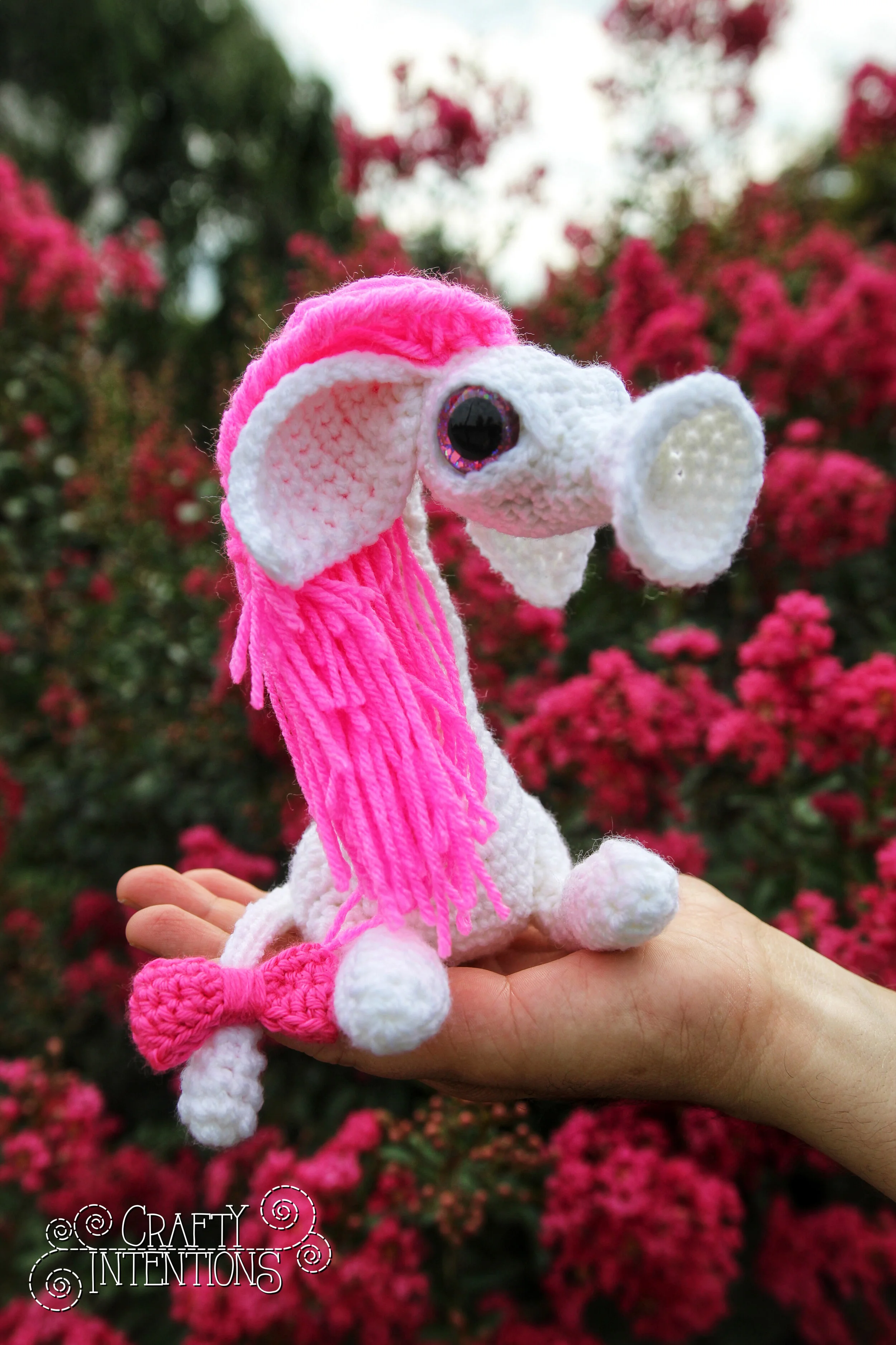 IMG_9706-01 with Logo.jpg