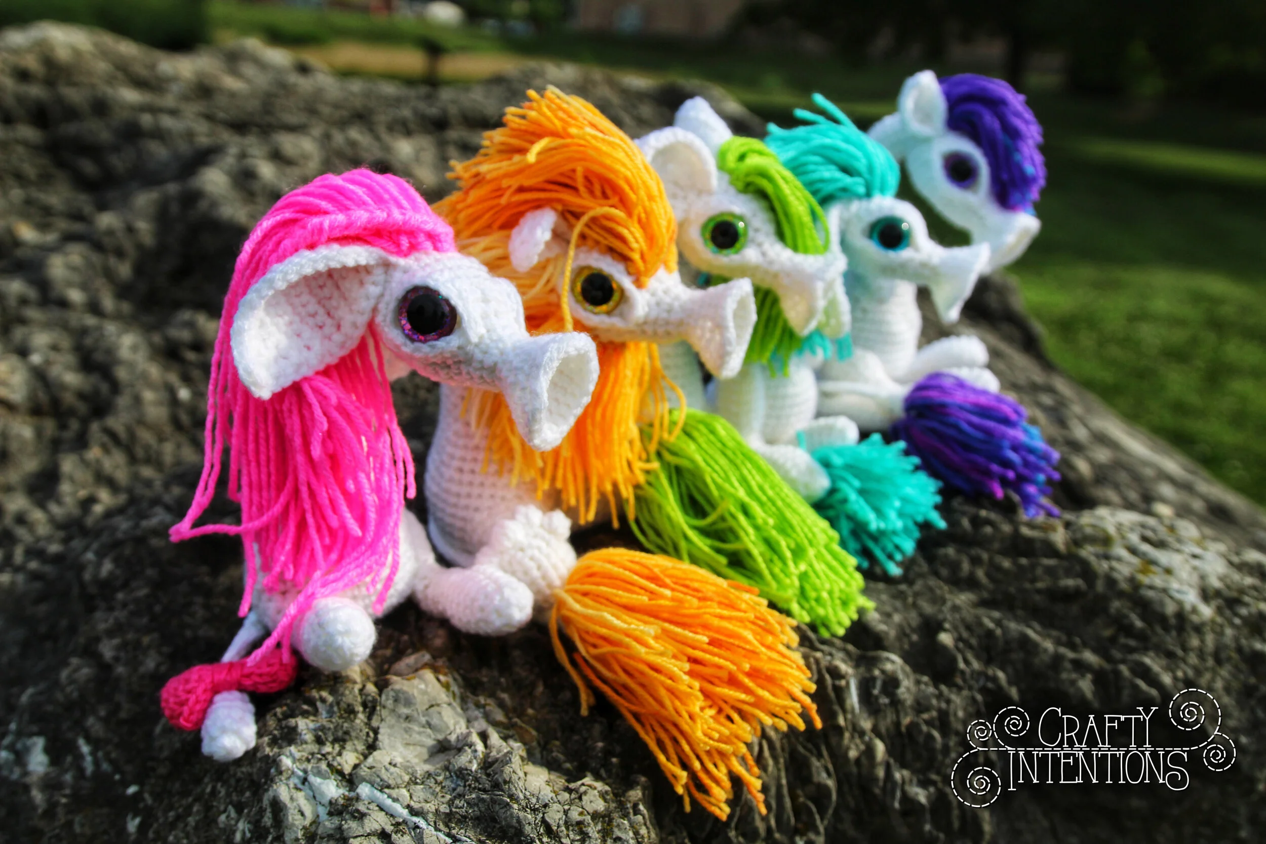 IMG_9736-01 with Logo.jpg