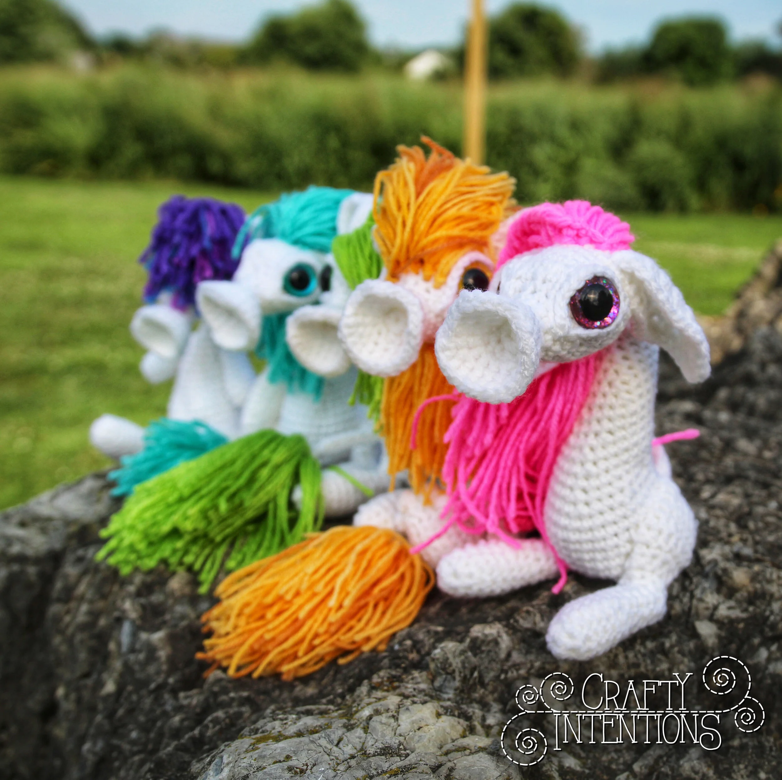 IMG_9843-01 with Logo.jpg