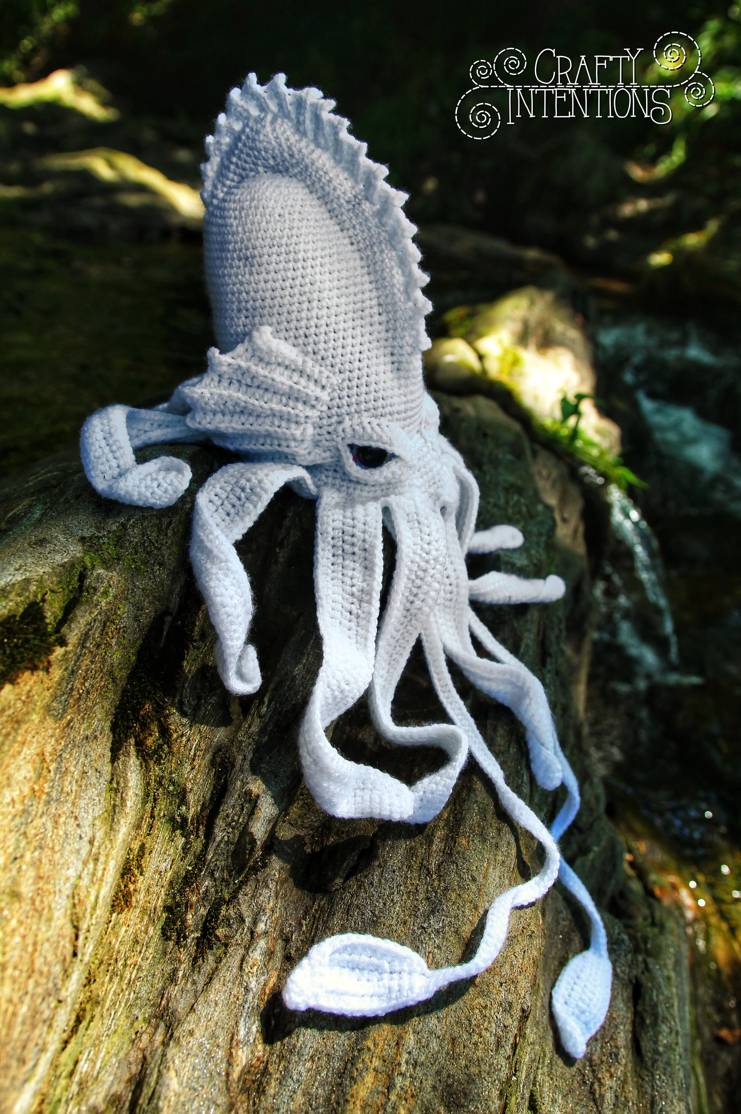 IMG_7616-01 with Logo.jpg